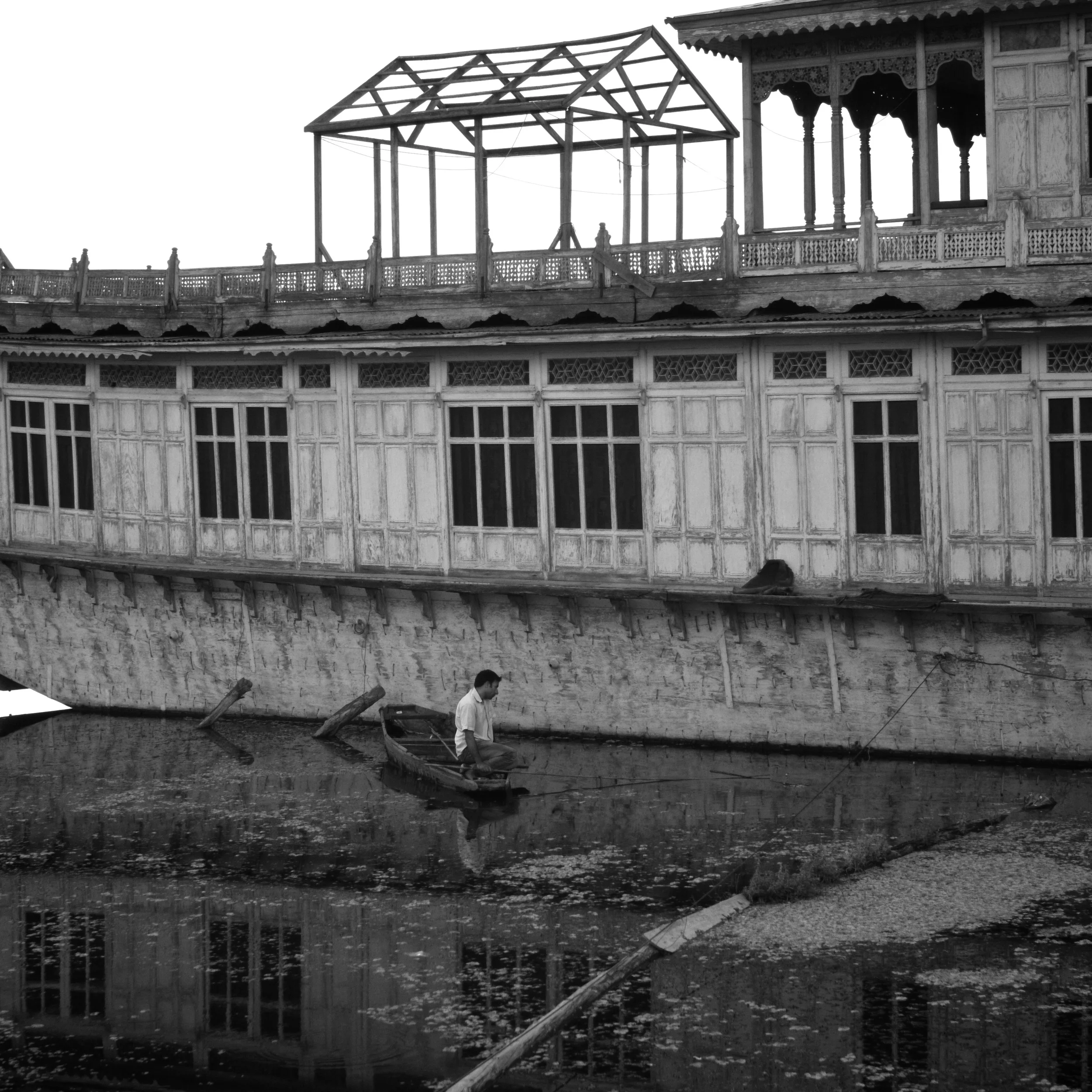 4Shiv Ahuja_DSF8250.jpg