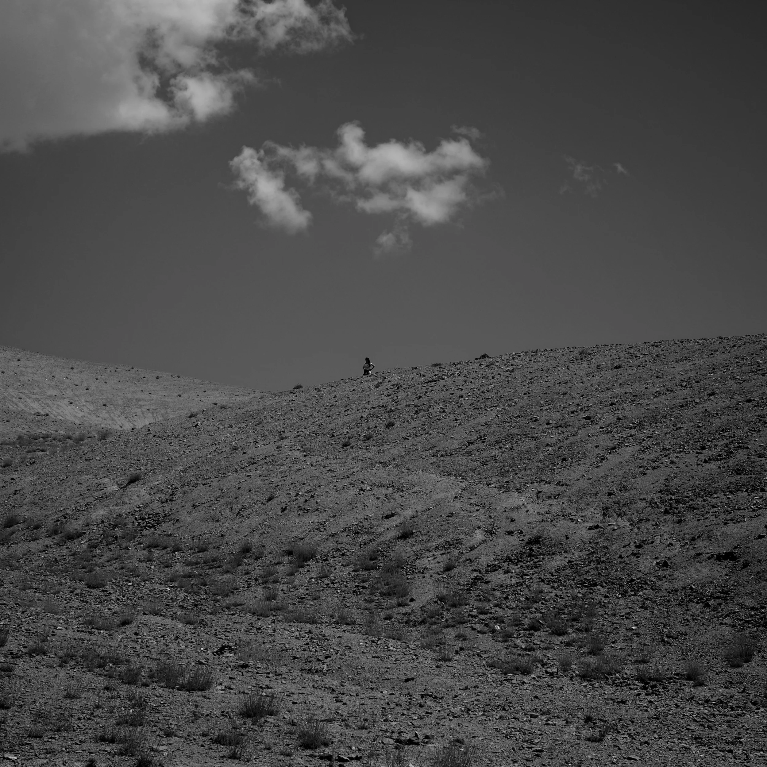 2Shiv Ahuja_DSF8338.jpg