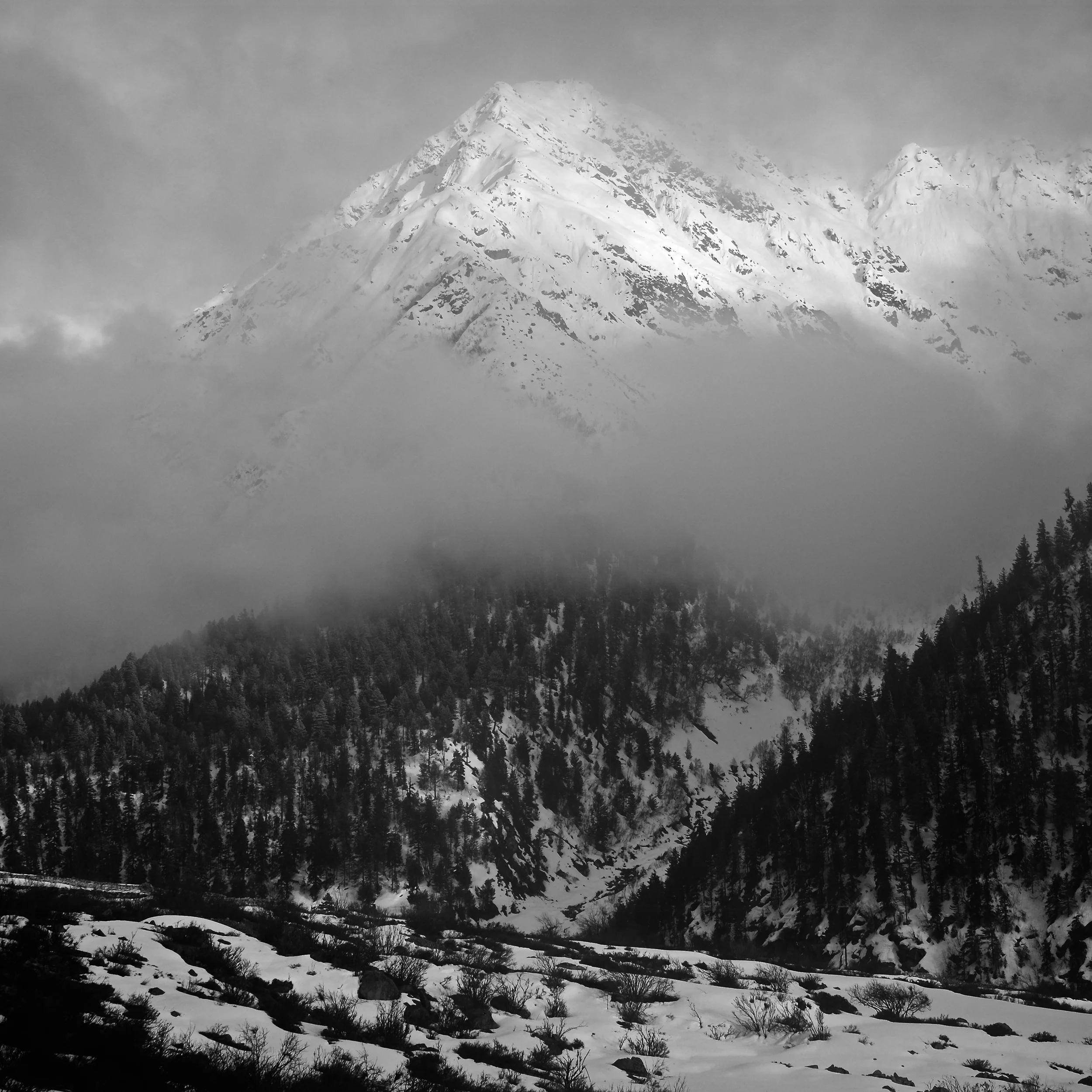 6Shiv Ahuja_DSF5227.jpg