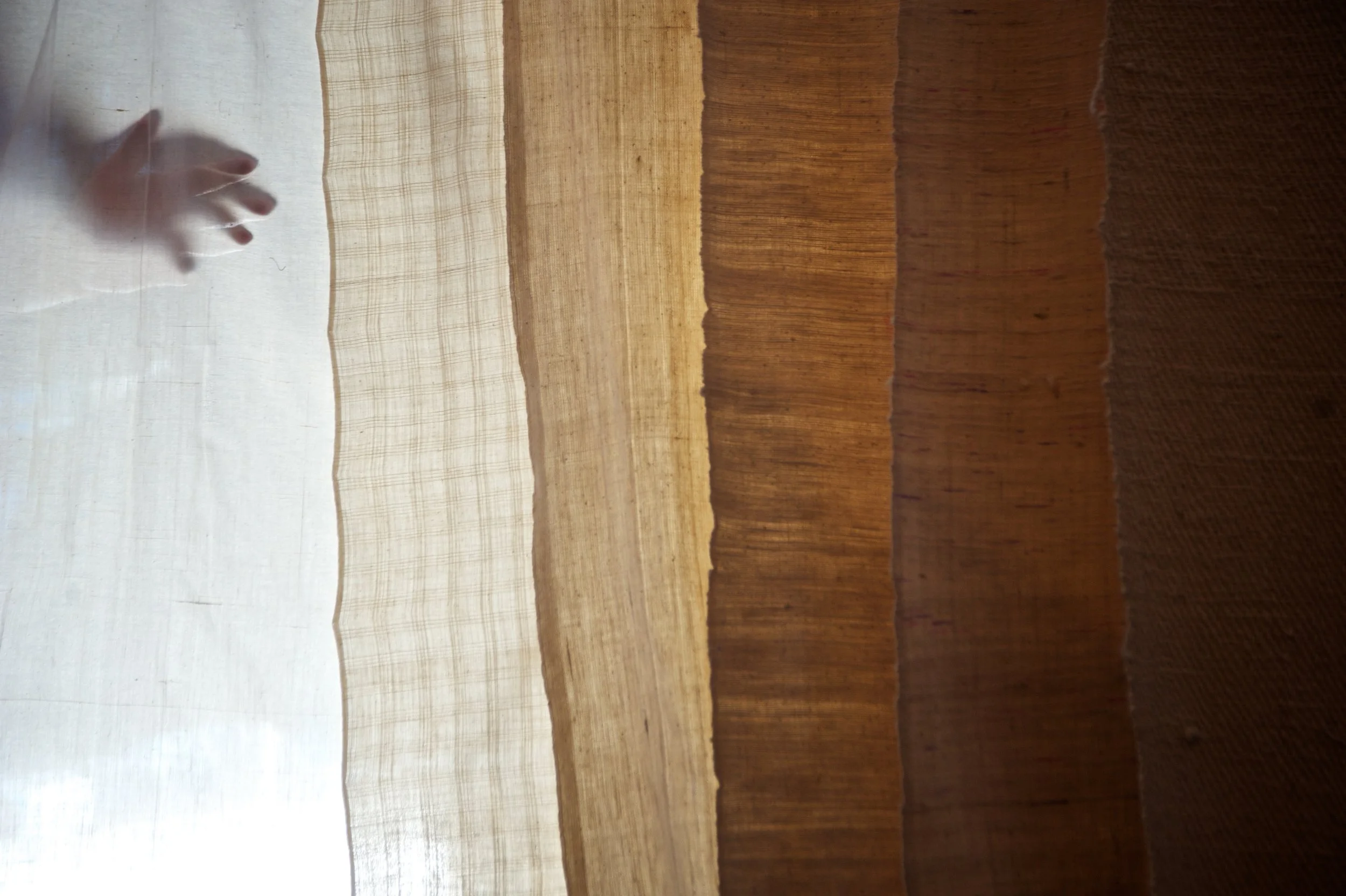 Shiv Ahuja_DSC7478.jpg