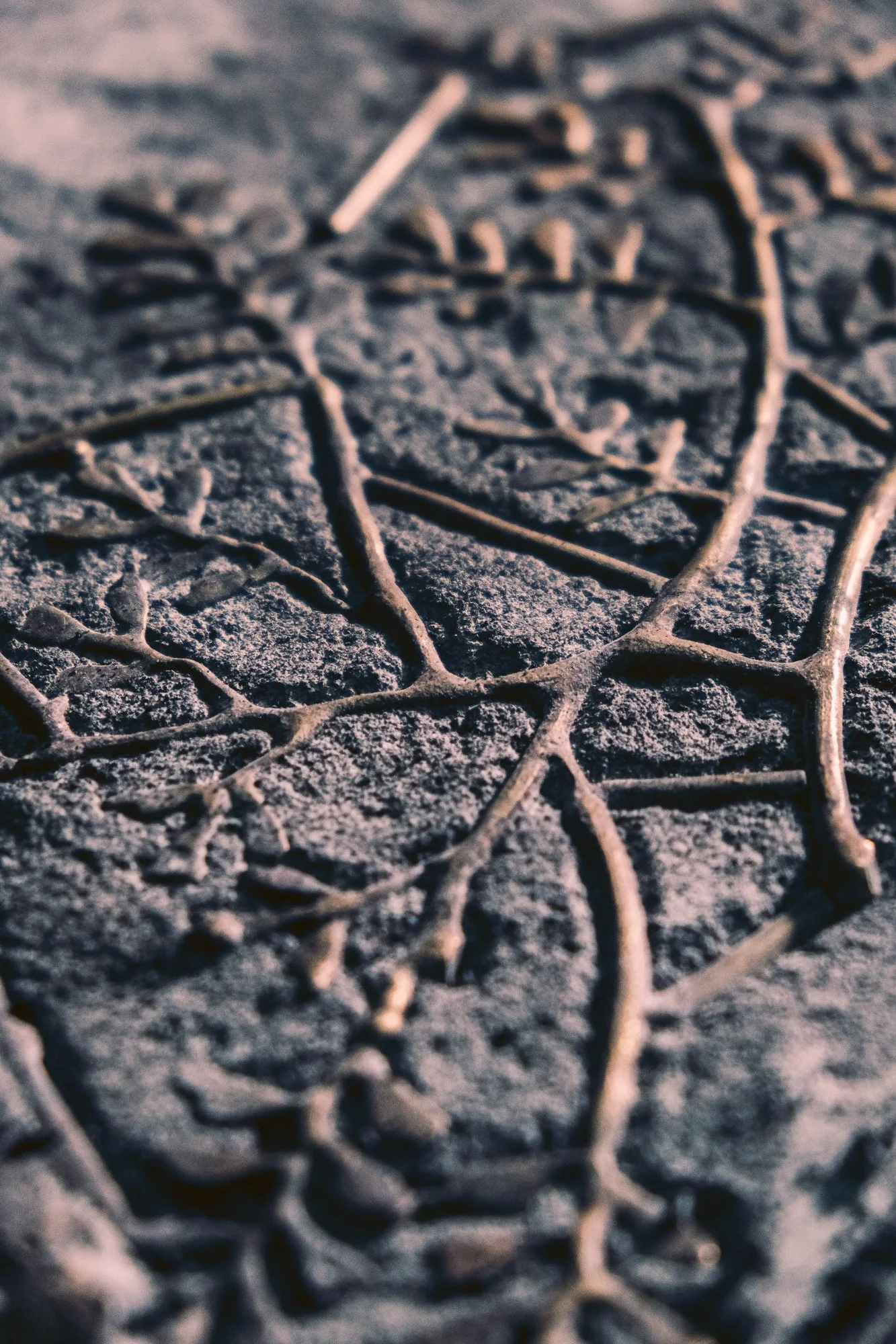 Shiv Ahuja_DSF0667_Kim Seybert_Low res.jpg