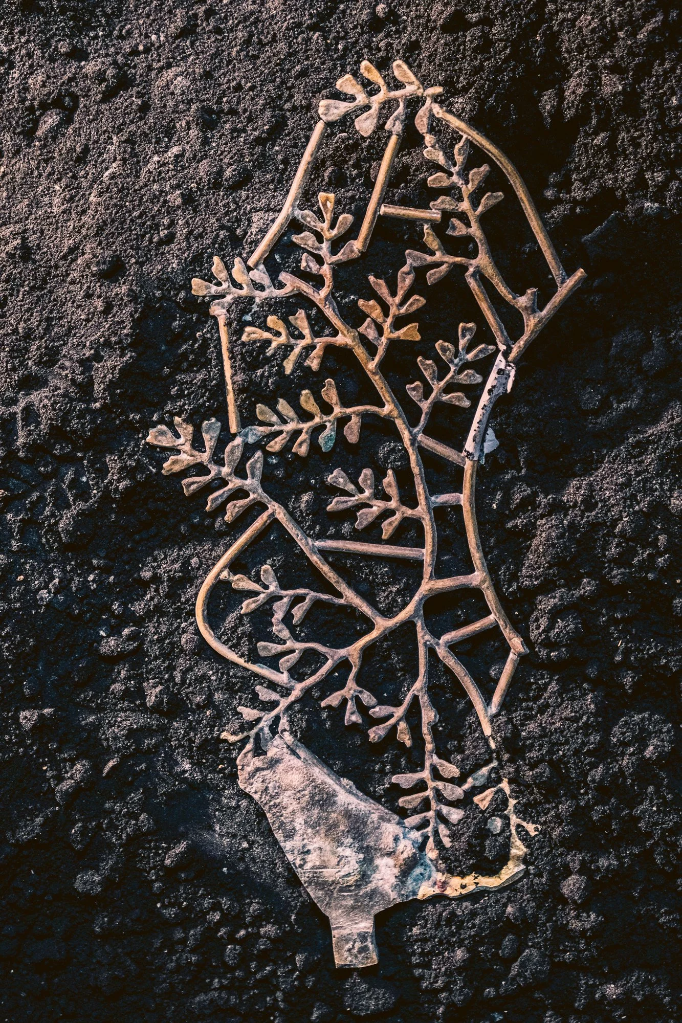 Shiv Ahuja_DSF0694_Kim Seybert_Low res.jpg