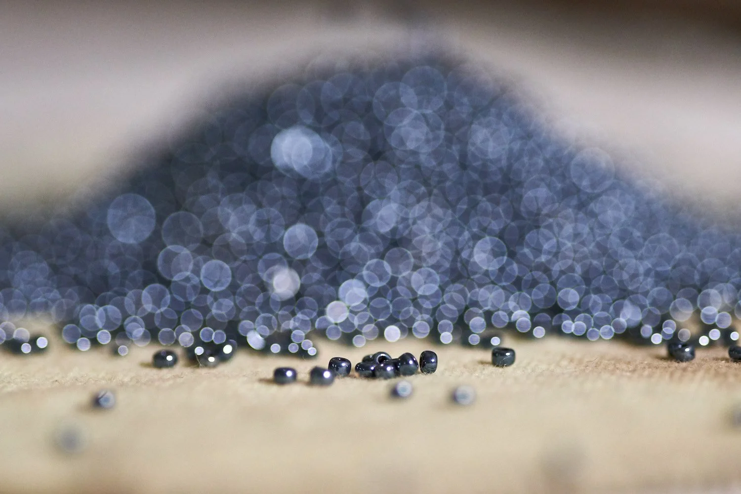 Shiv Ahuja_DSF4429_KimSeybert_Laxcam_GNS_lowres.jpg