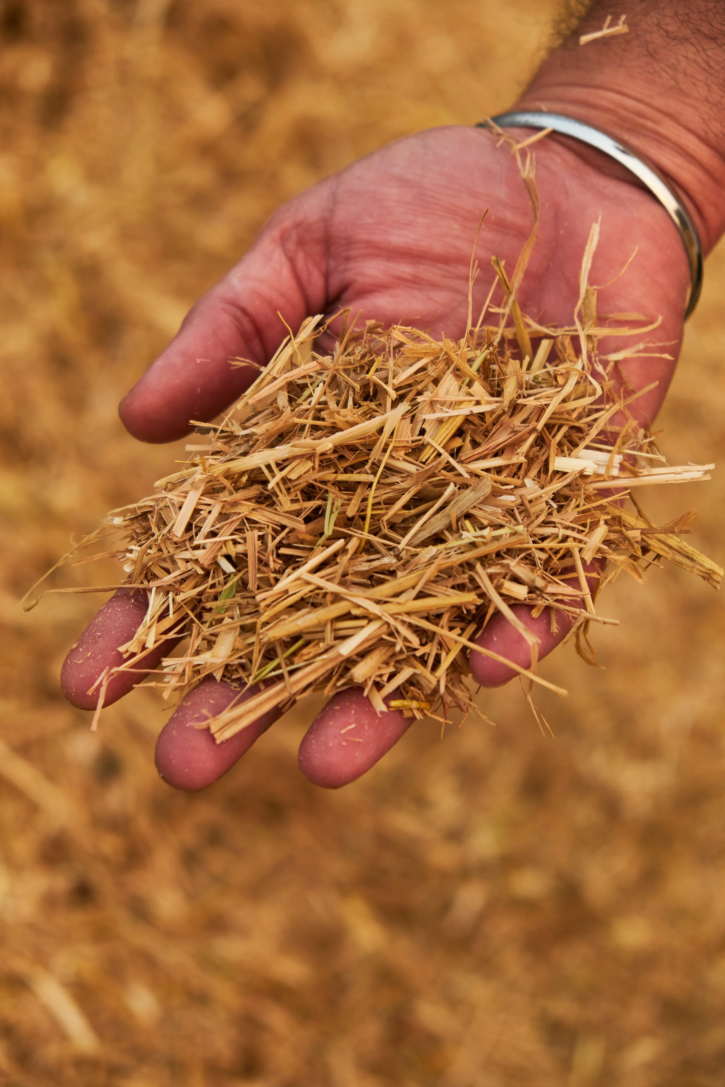 Shiv Ahuja_DSF2554_Ikea.jpg