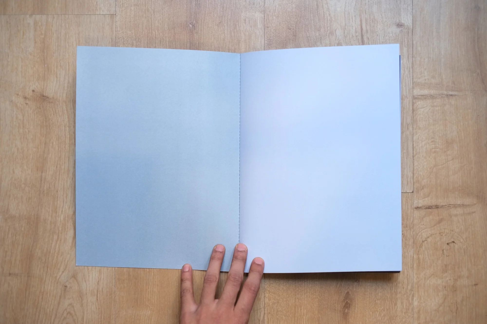 2Shiv Ahuja__DSF3054.jpg