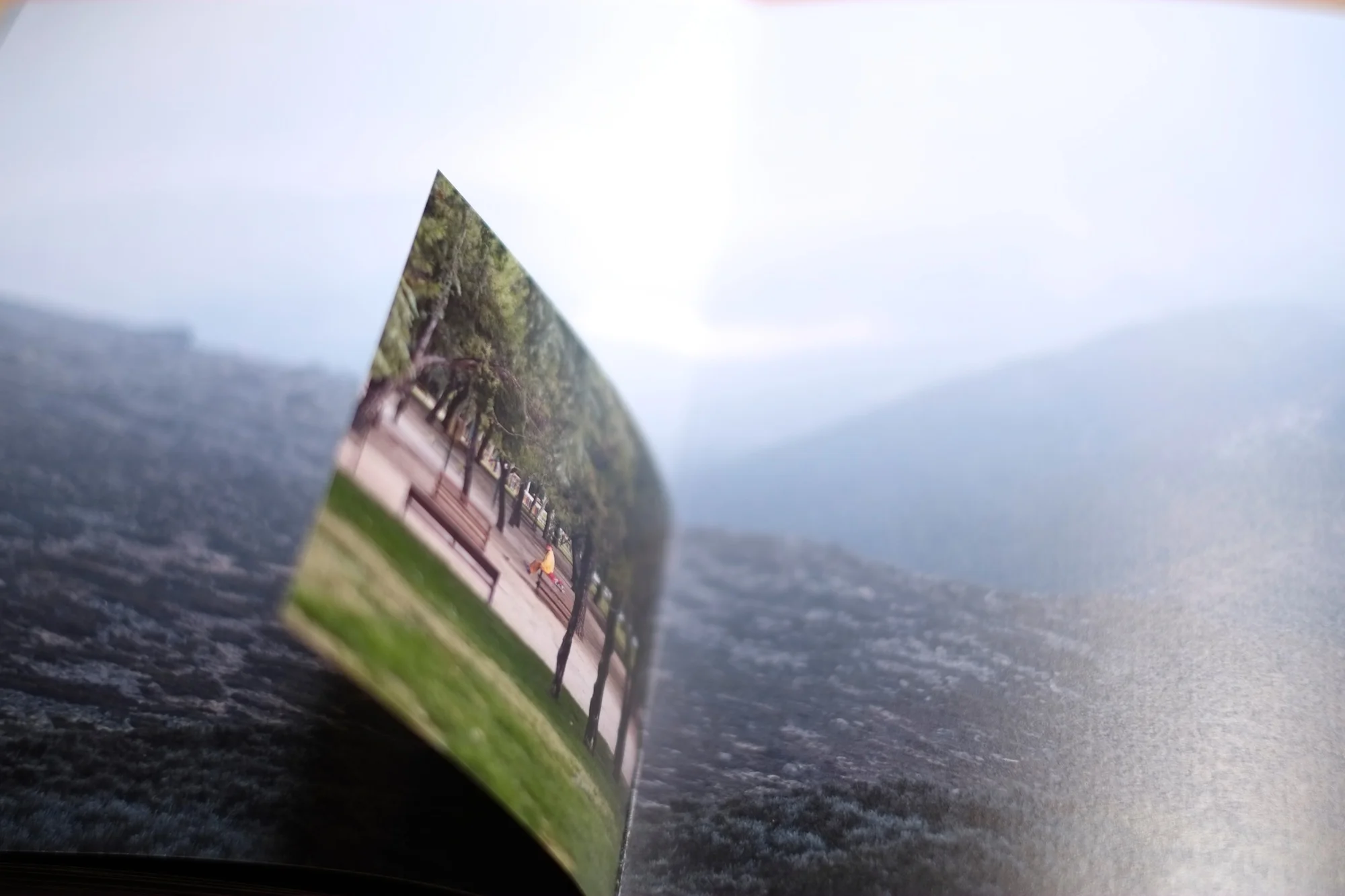 30Shiv Ahuja__DSF3095.jpg