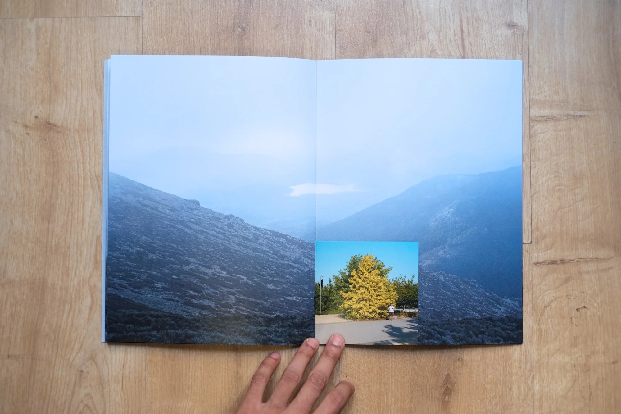 13Shiv Ahuja__DSF3065.jpg