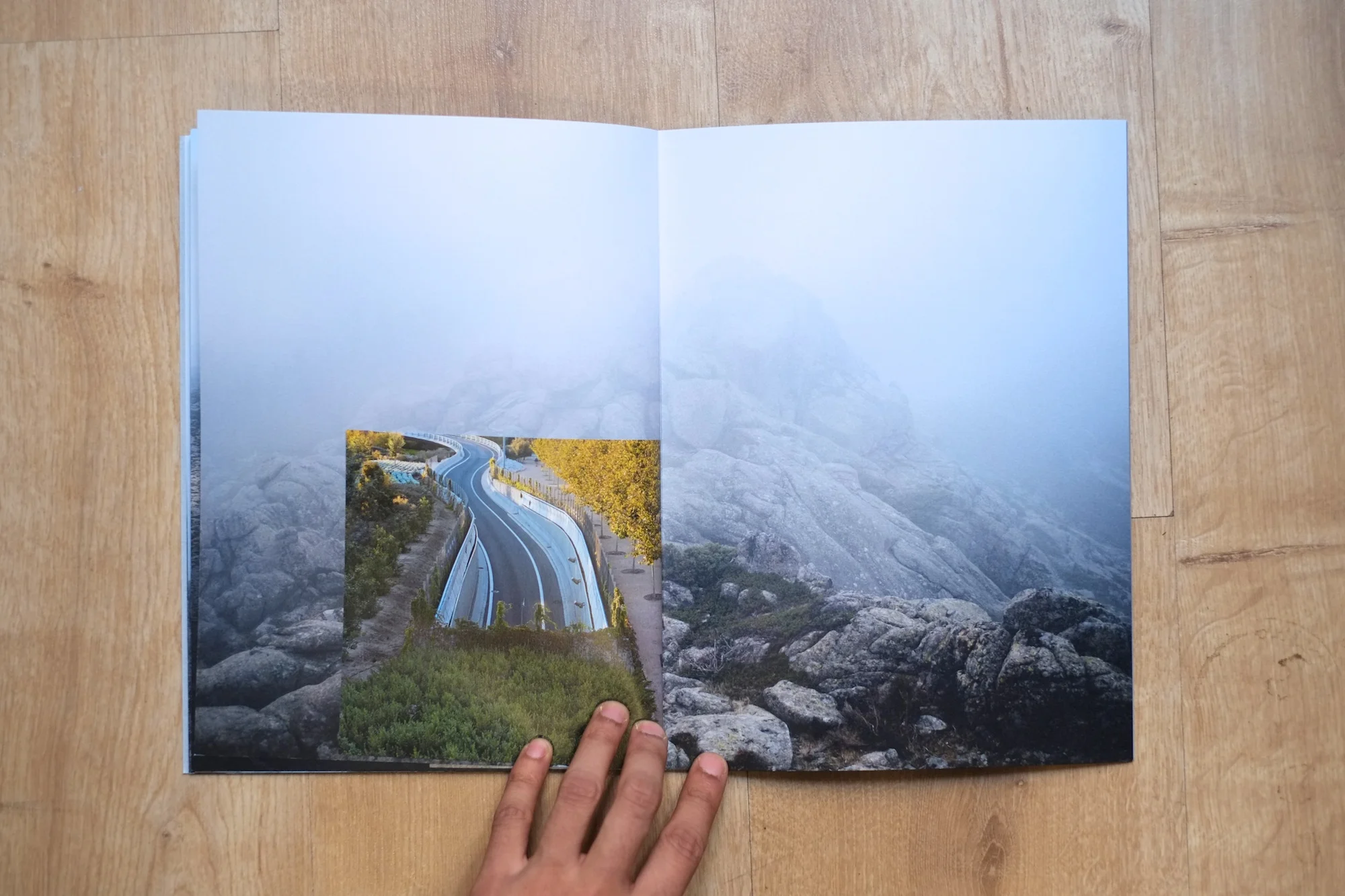 18Shiv Ahuja__DSF3070.jpg