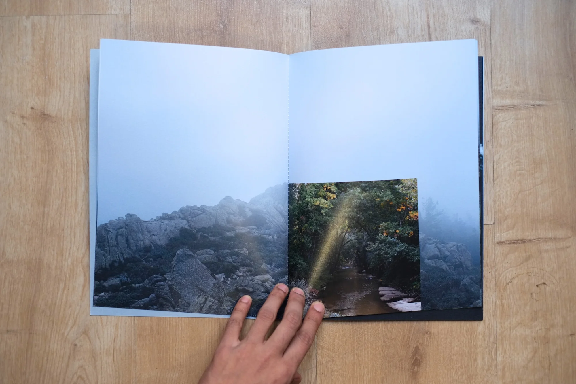 4Shiv Ahuja__DSF3056.jpg