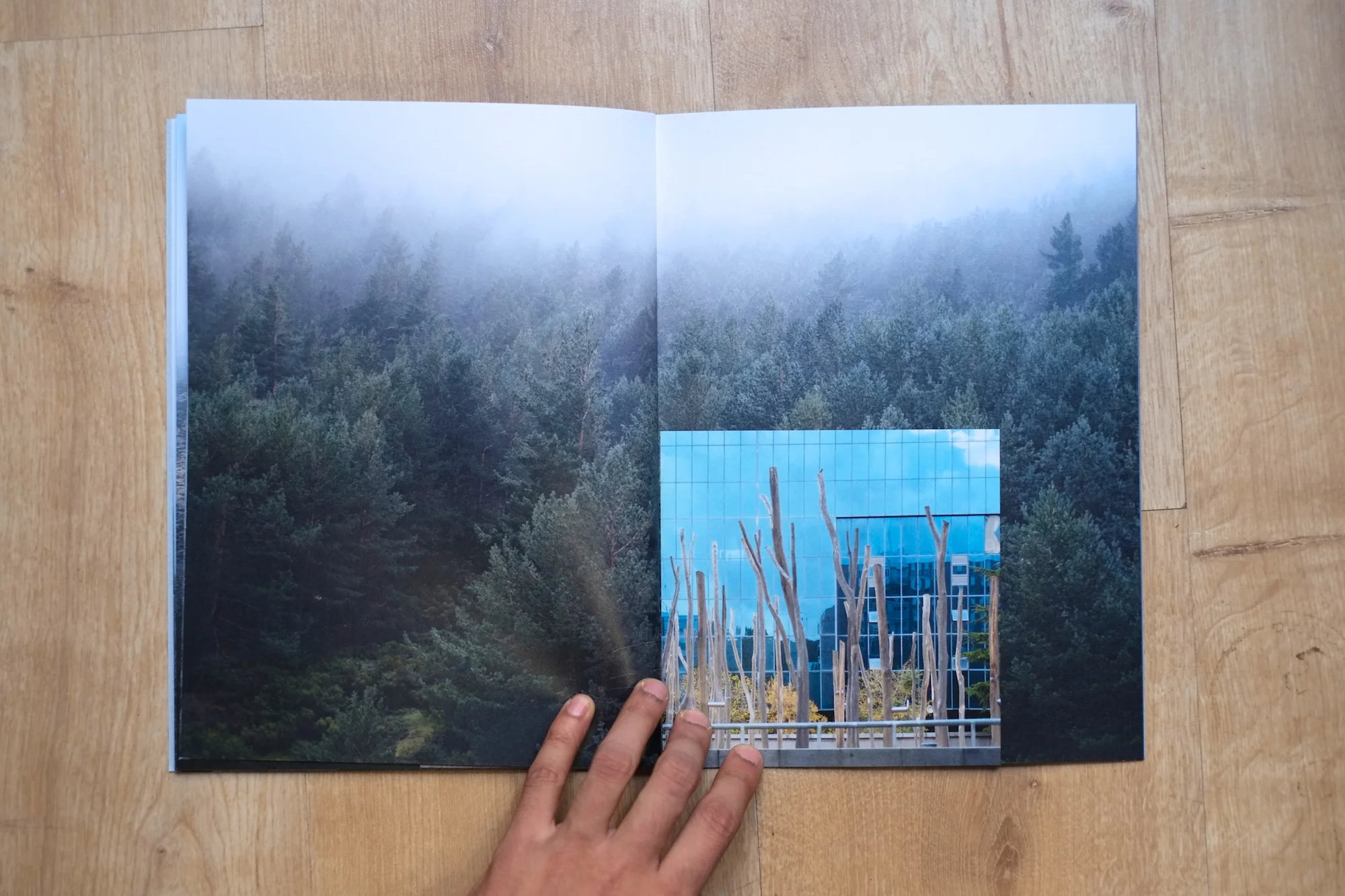 19Shiv Ahuja__DSF3071.jpg