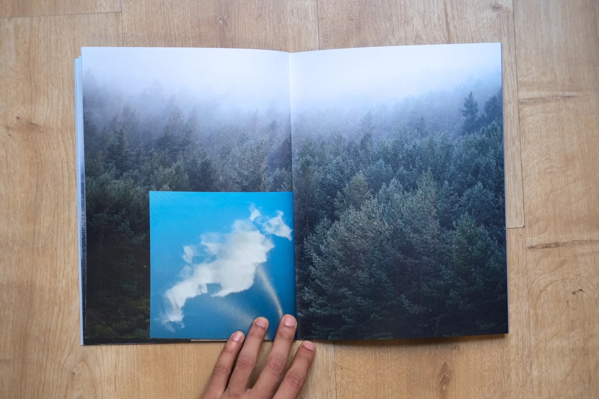 20Shiv Ahuja__DSF3072.jpg