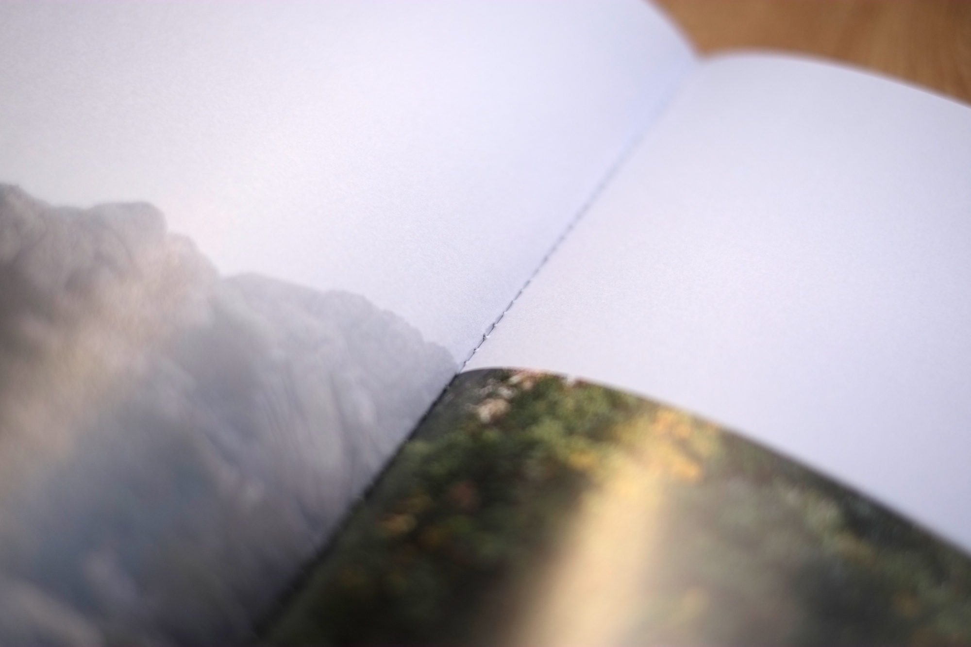 24Shiv Ahuja__DSF3080.jpg