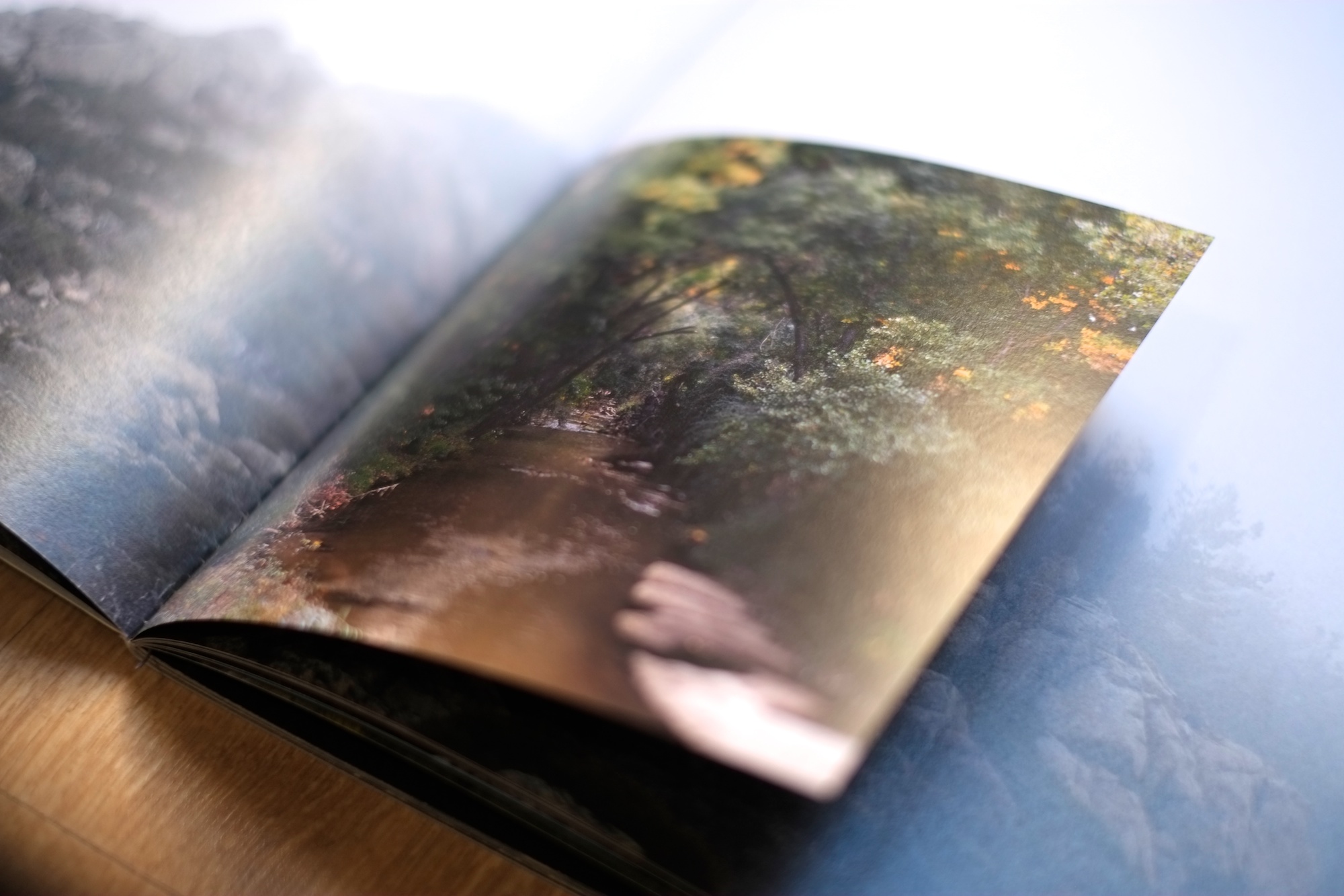 25Shiv Ahuja__DSF3081.jpg