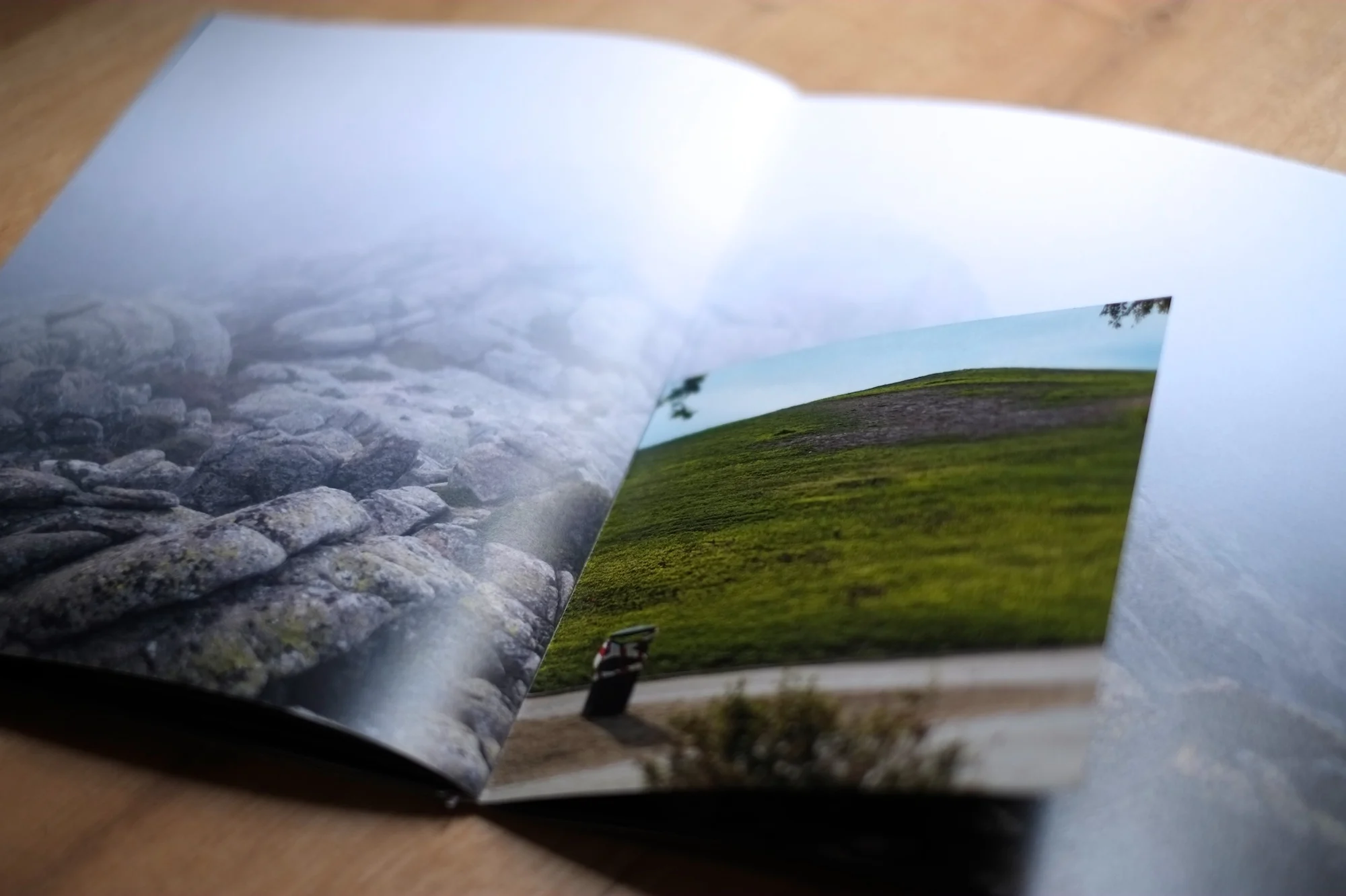 31Shiv Ahuja__DSF3101.jpg