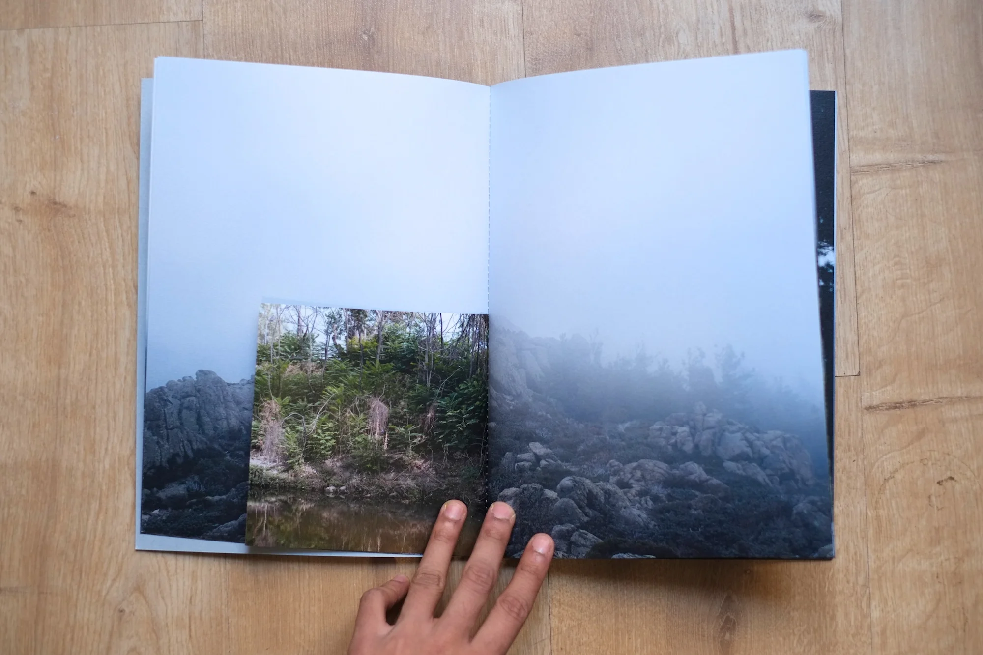 5Shiv Ahuja__DSF3057.jpg