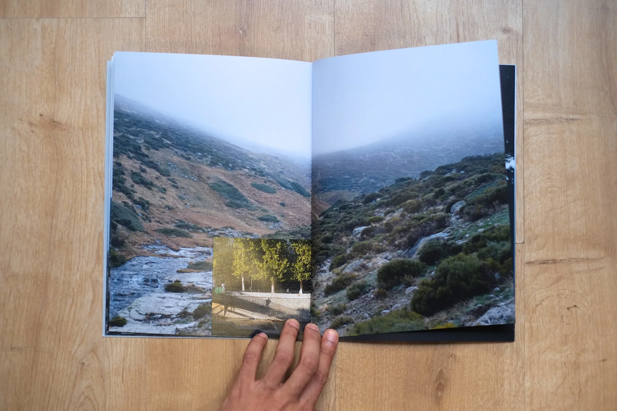 11Shiv Ahuja__DSF3063.jpg