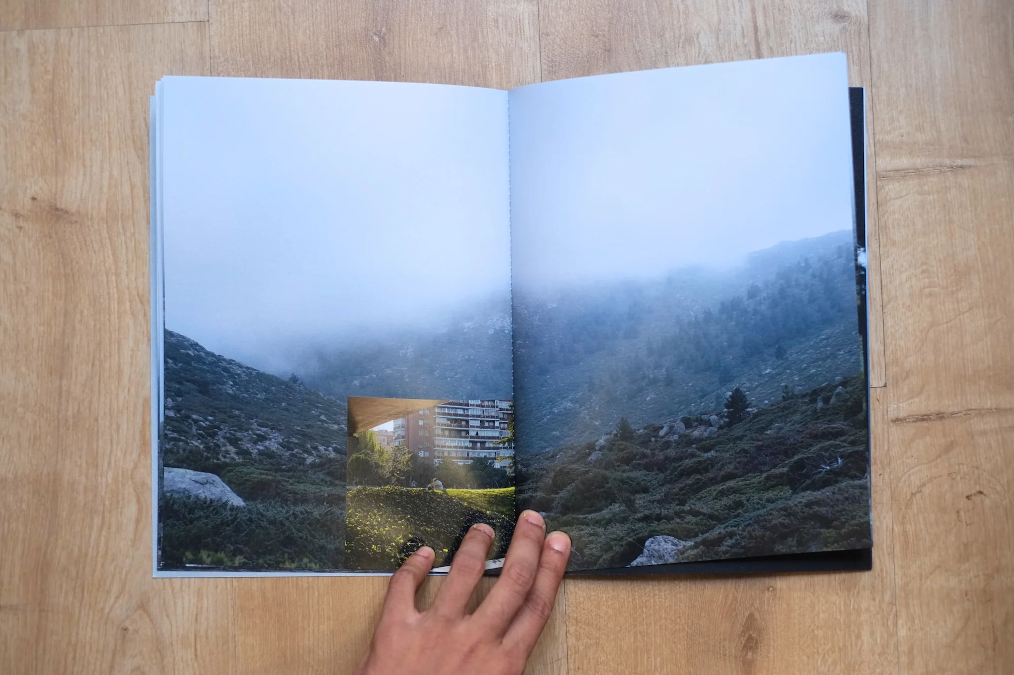 9Shiv Ahuja__DSF3061.jpg