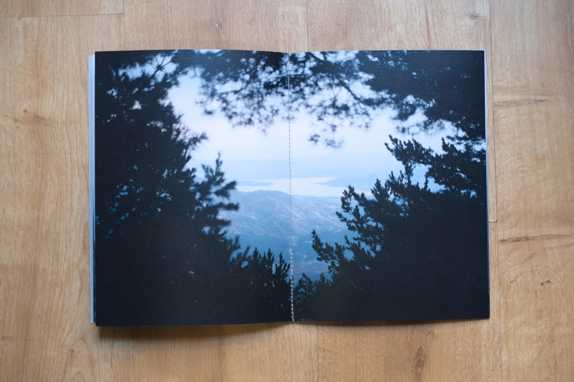 12Shiv Ahuja__DSF3064.jpg