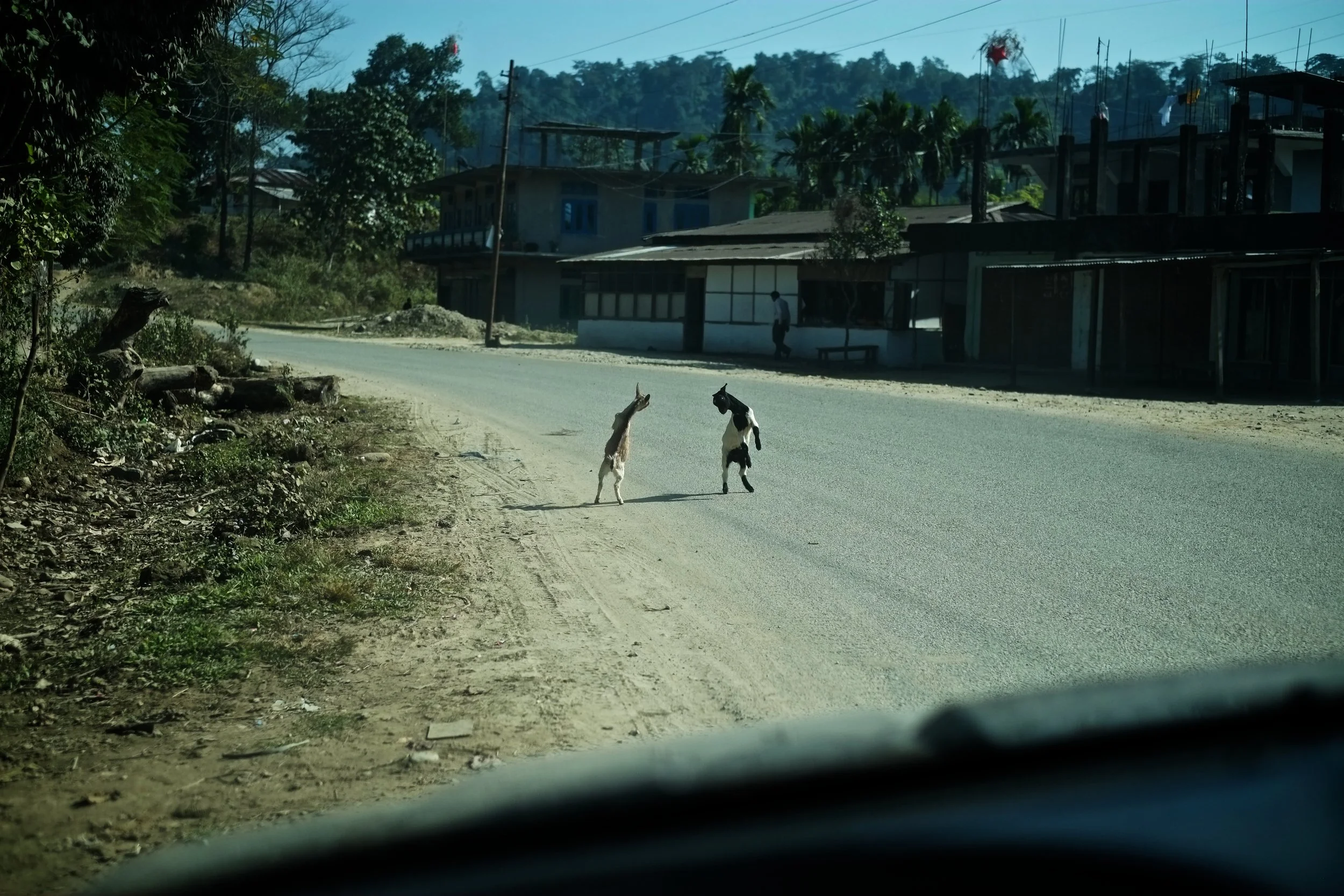 Shiv Ahuja__DSF6661.jpg