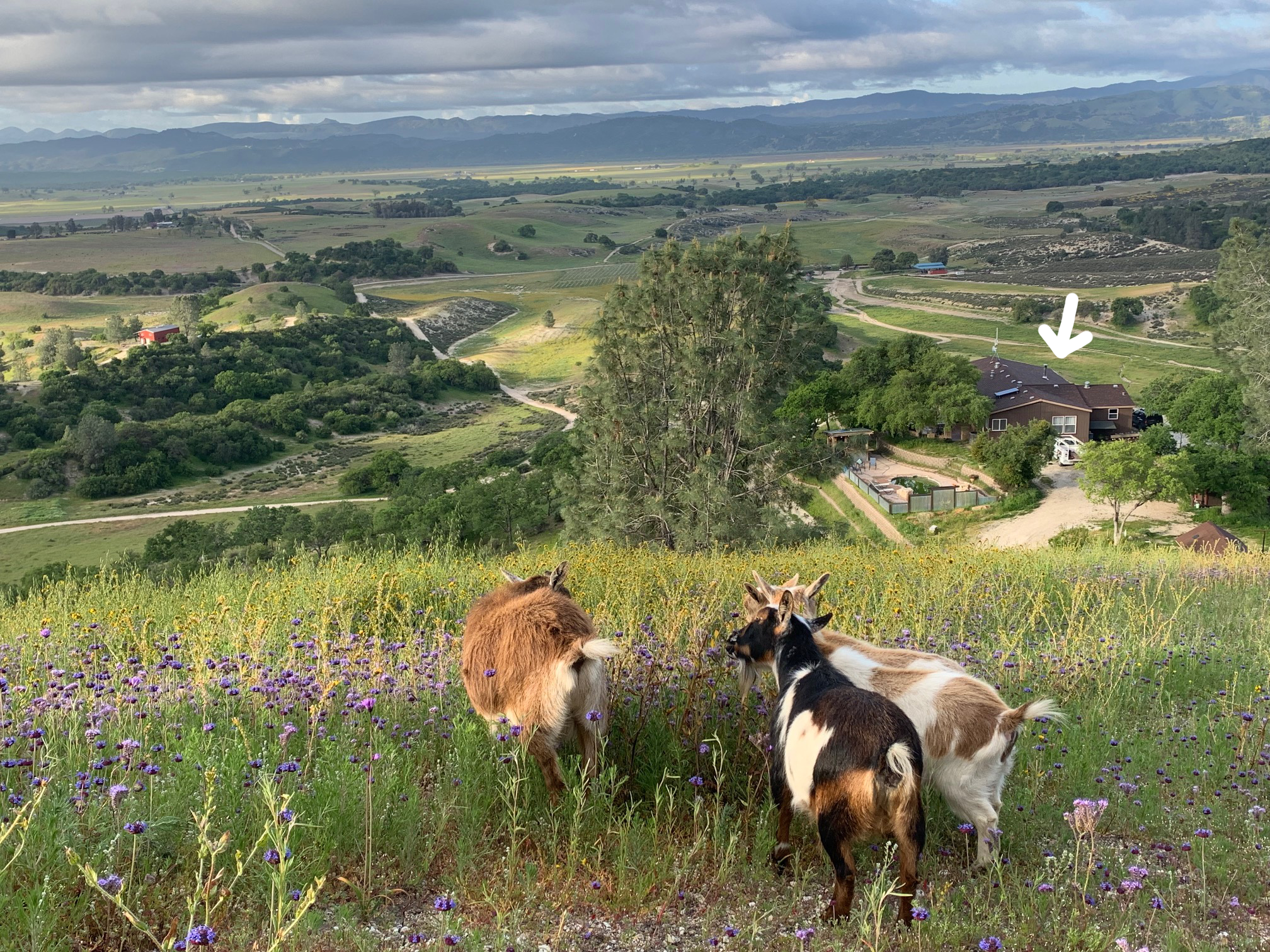 Oranssi carpenter using bench saw