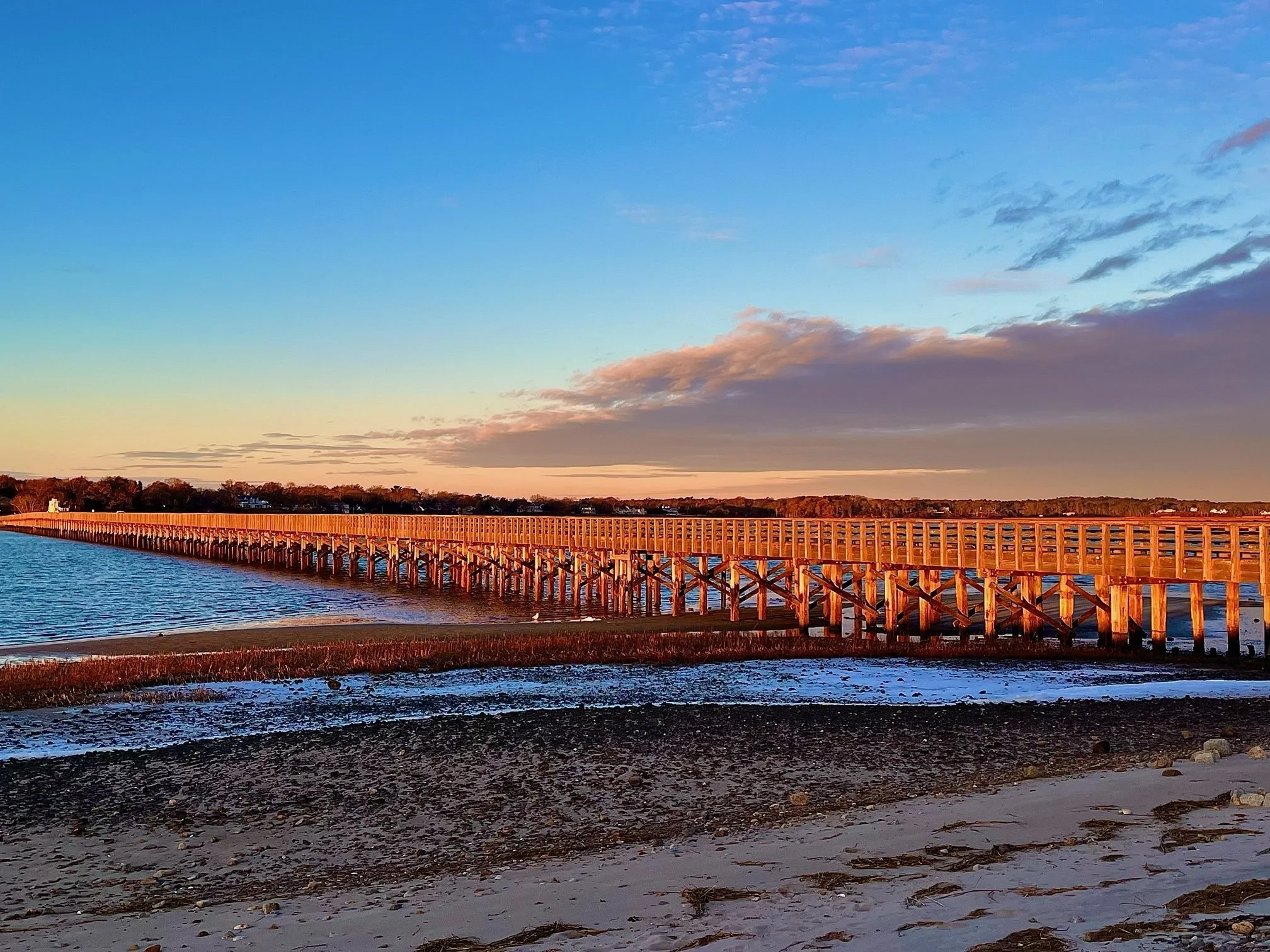 Bridge+home+page.jpg