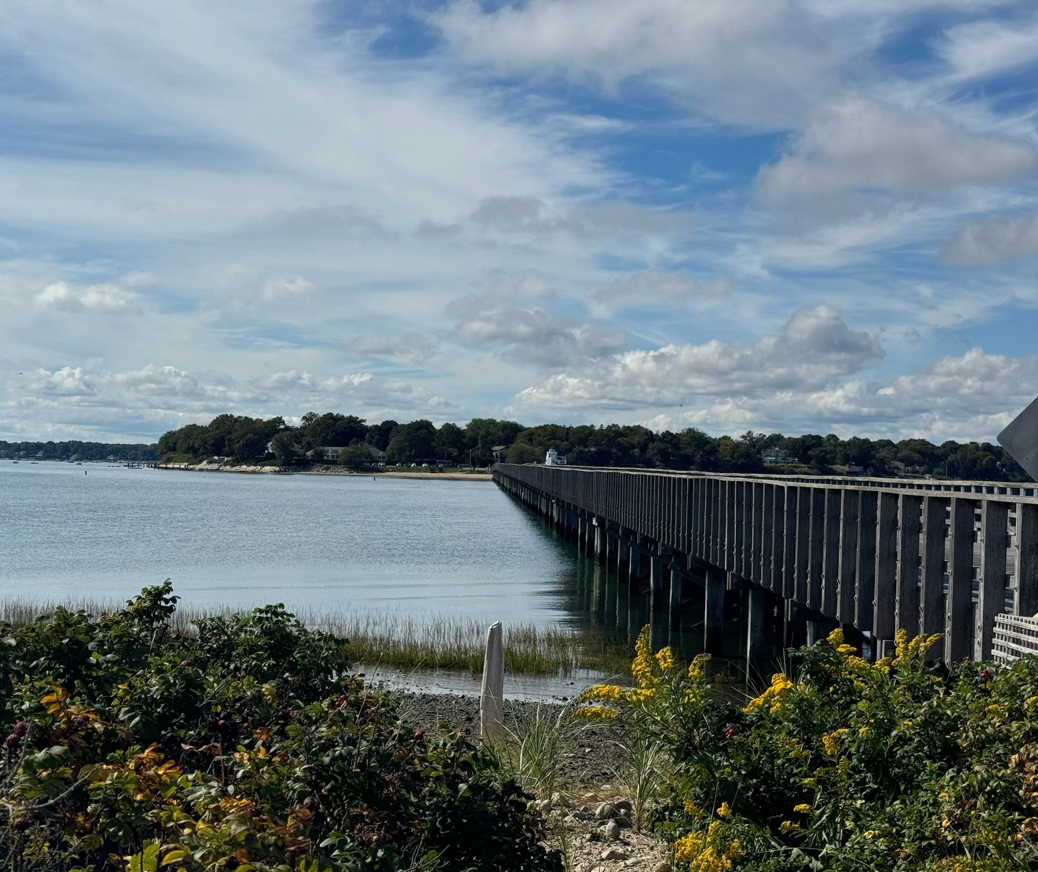bridge side.JPG