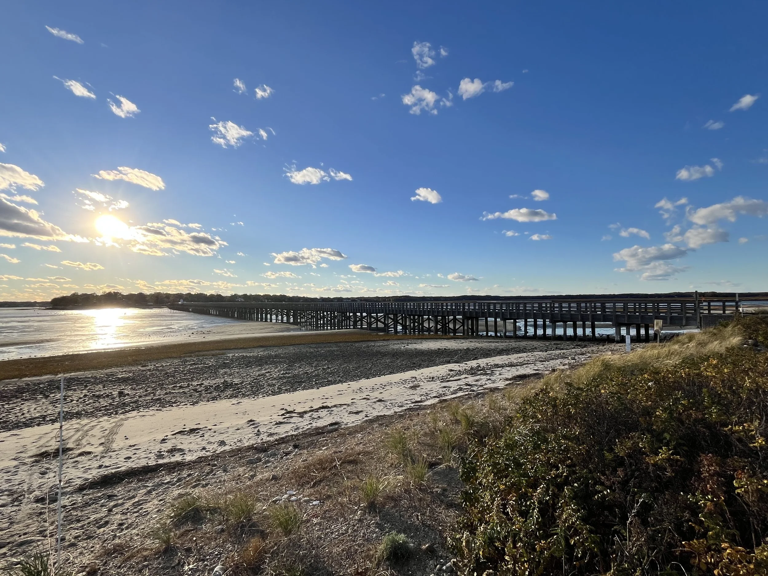 bridge long.jpg