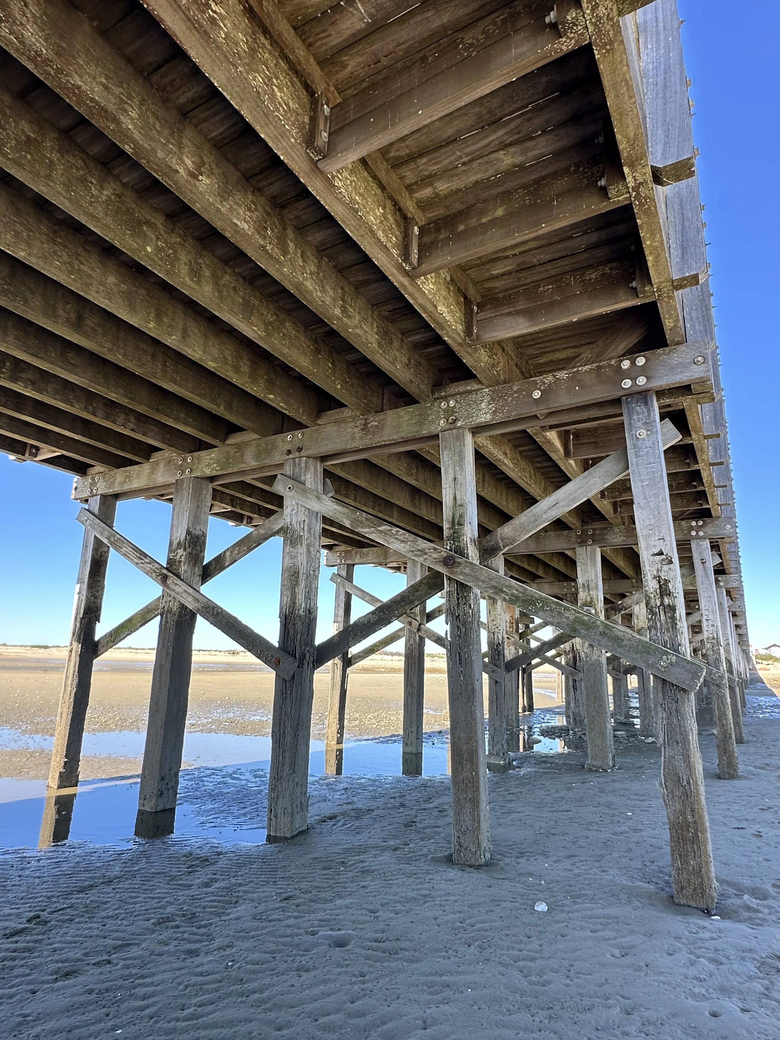 Bridge under low tide.jpeg