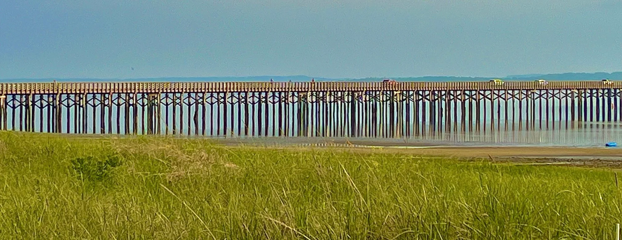 bridge summer.jpeg