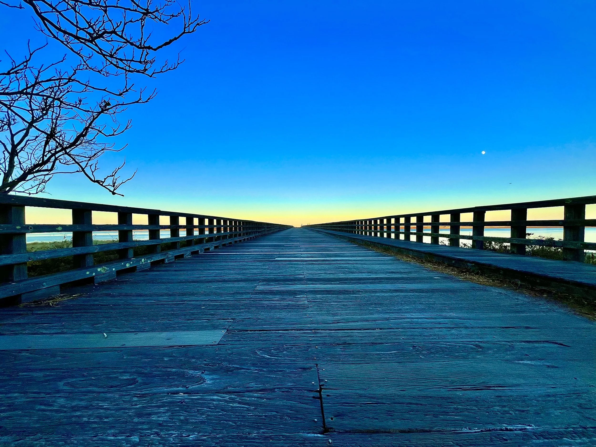 Bridge Deck.jpg