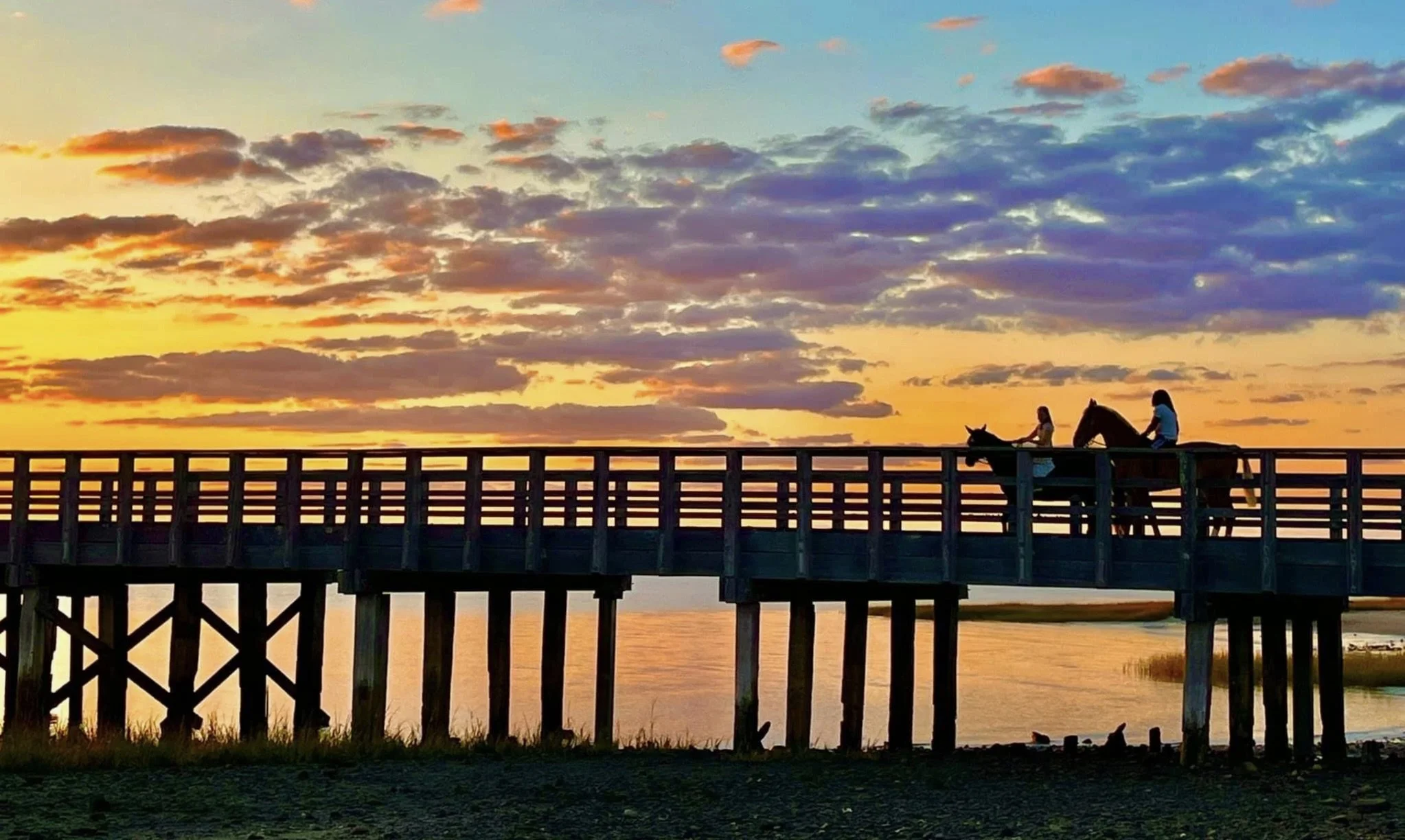 Bridge horses.jpeg