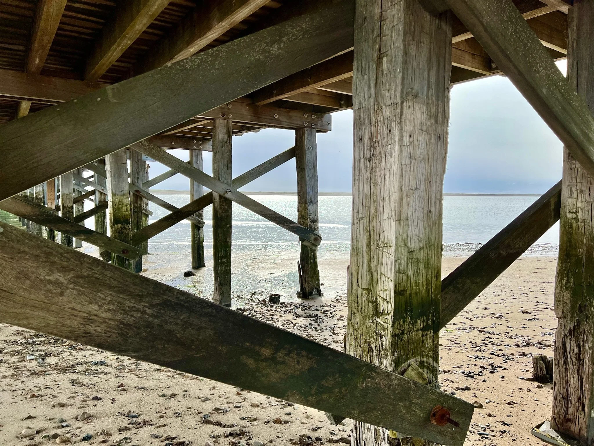 under the bridge.JPG