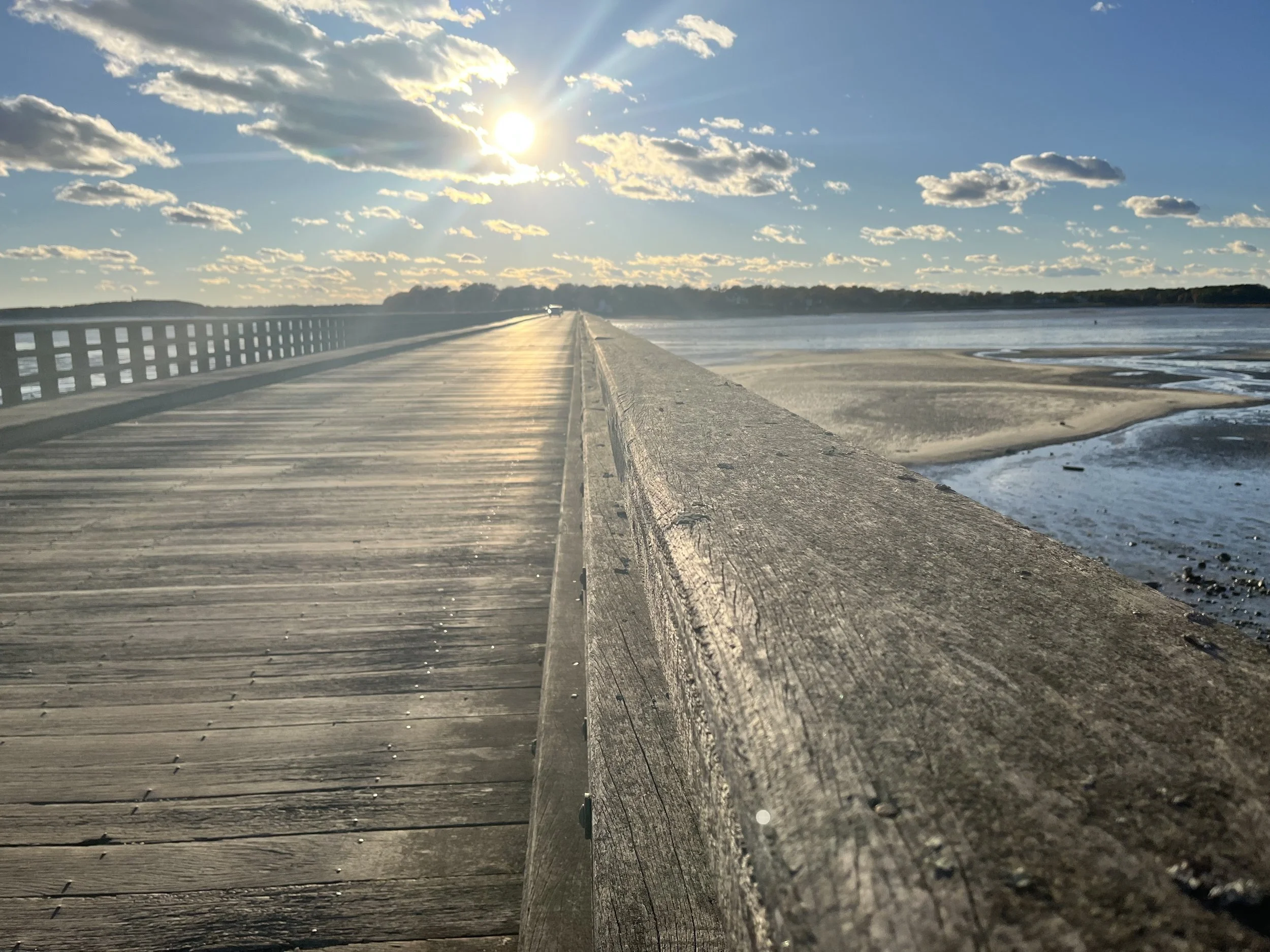 bridge top.jpg