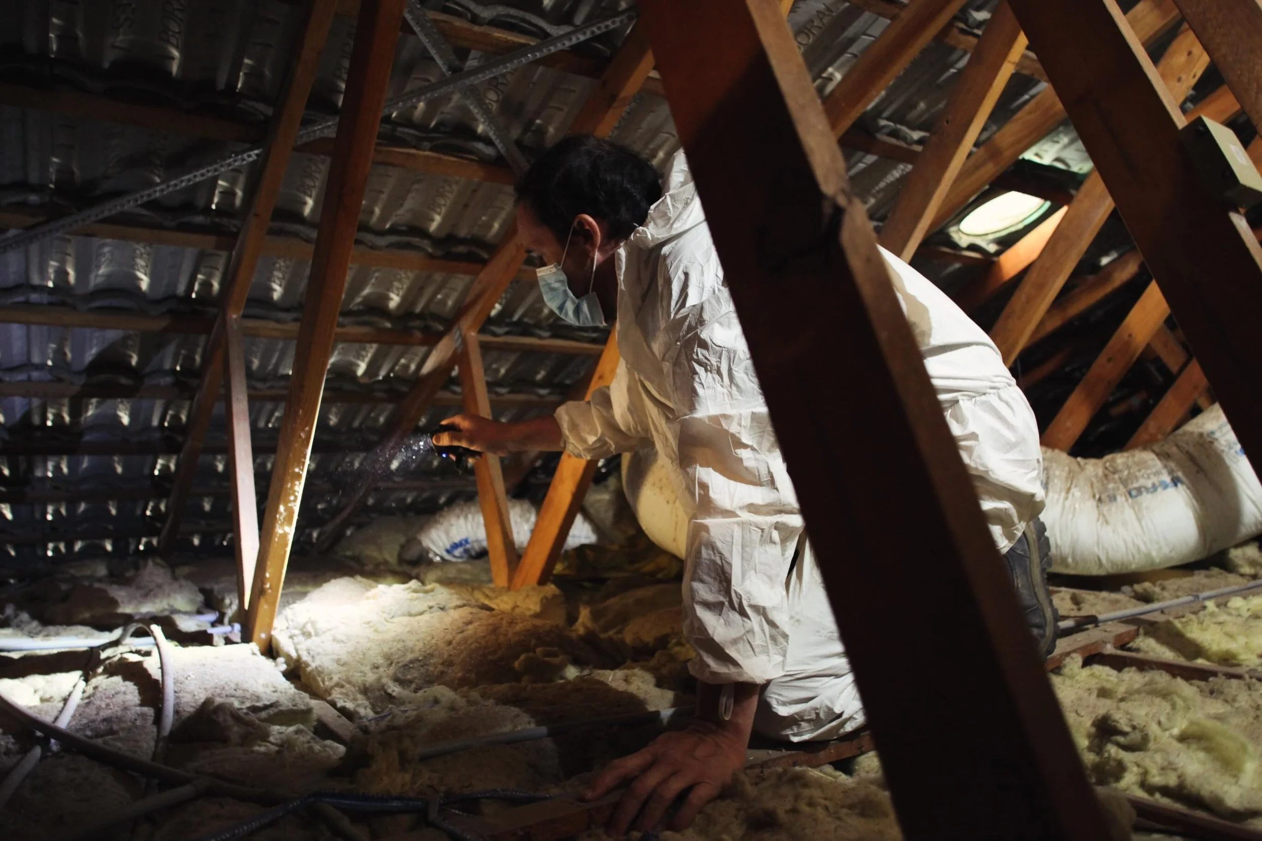 Roof space inspections are one of the most important parts of a pre-purchase building and timber pest inspection.
Many major issues can only be identified inside the roof cavity, including:
&bull; leaks and moisture damage
&bull; defective framing or