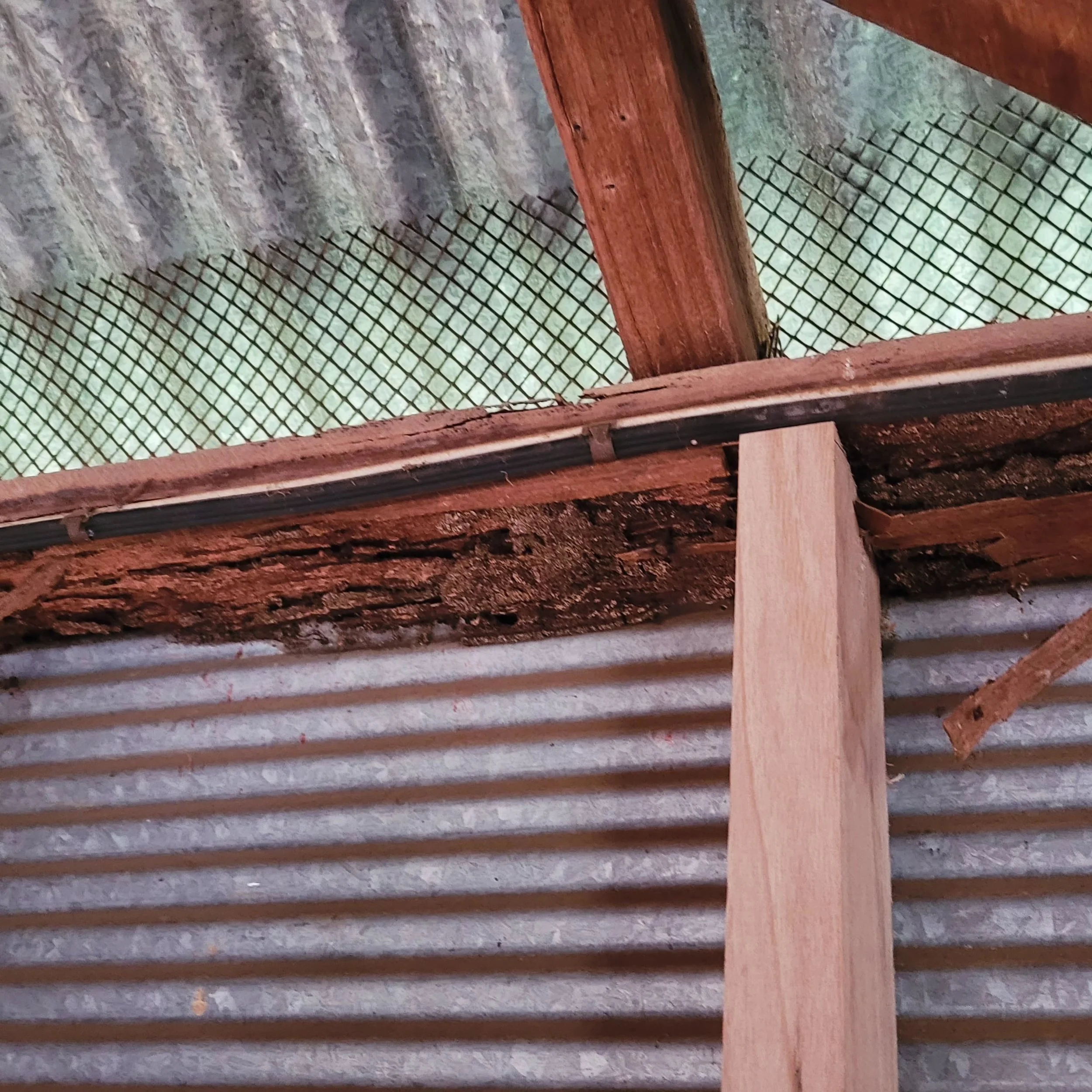 Termites don't always enter a building through obvious mud leads.

During a timber pest inspection in Castlemaine this week, significant termite damage was identified within the structure. 

Further investigation identified an external timber post in