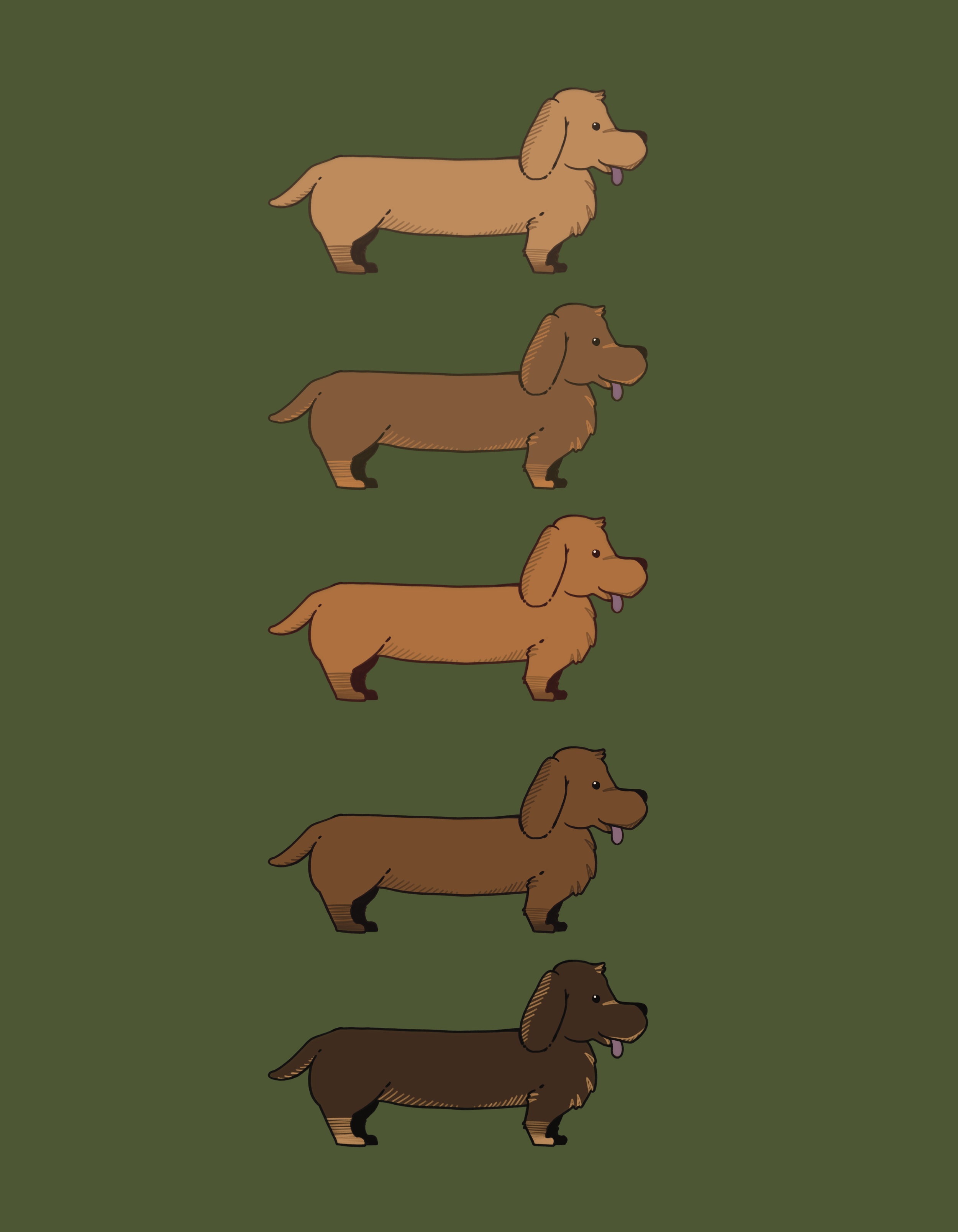 Multiple illustrated dachshund dogs in two shades of brown, facing right, on a dark green background.