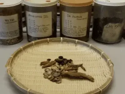 What's the Link Between Digestive Health and Mental/Emotional Health in Chinese Medicine?