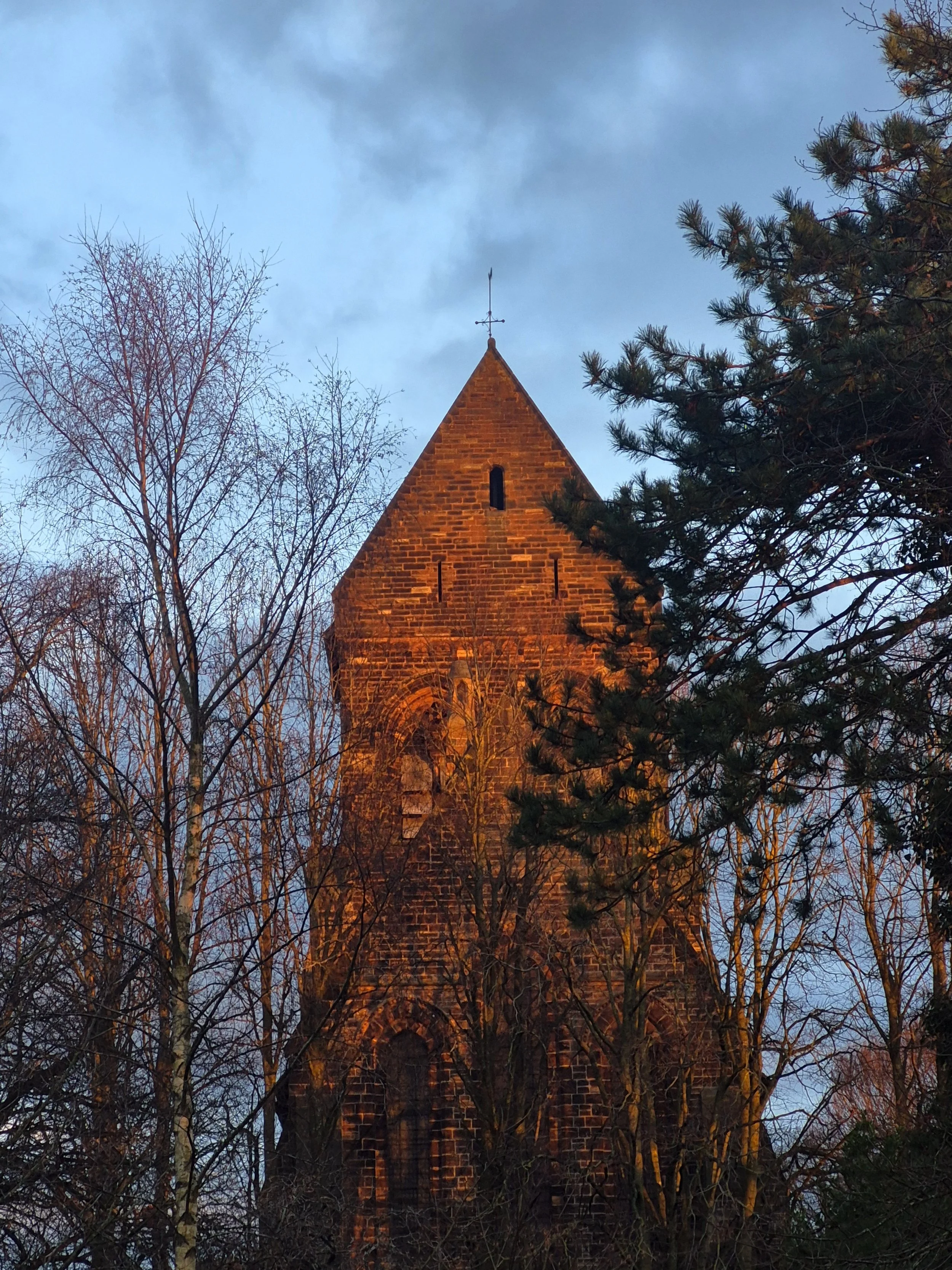 1000014152.jpg