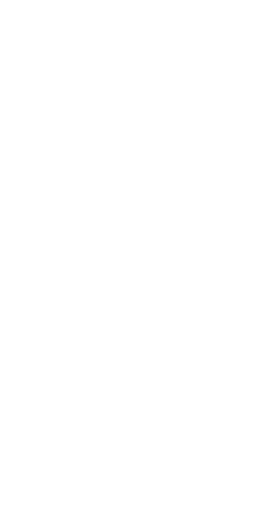 White palm tree silhouette on a black background.