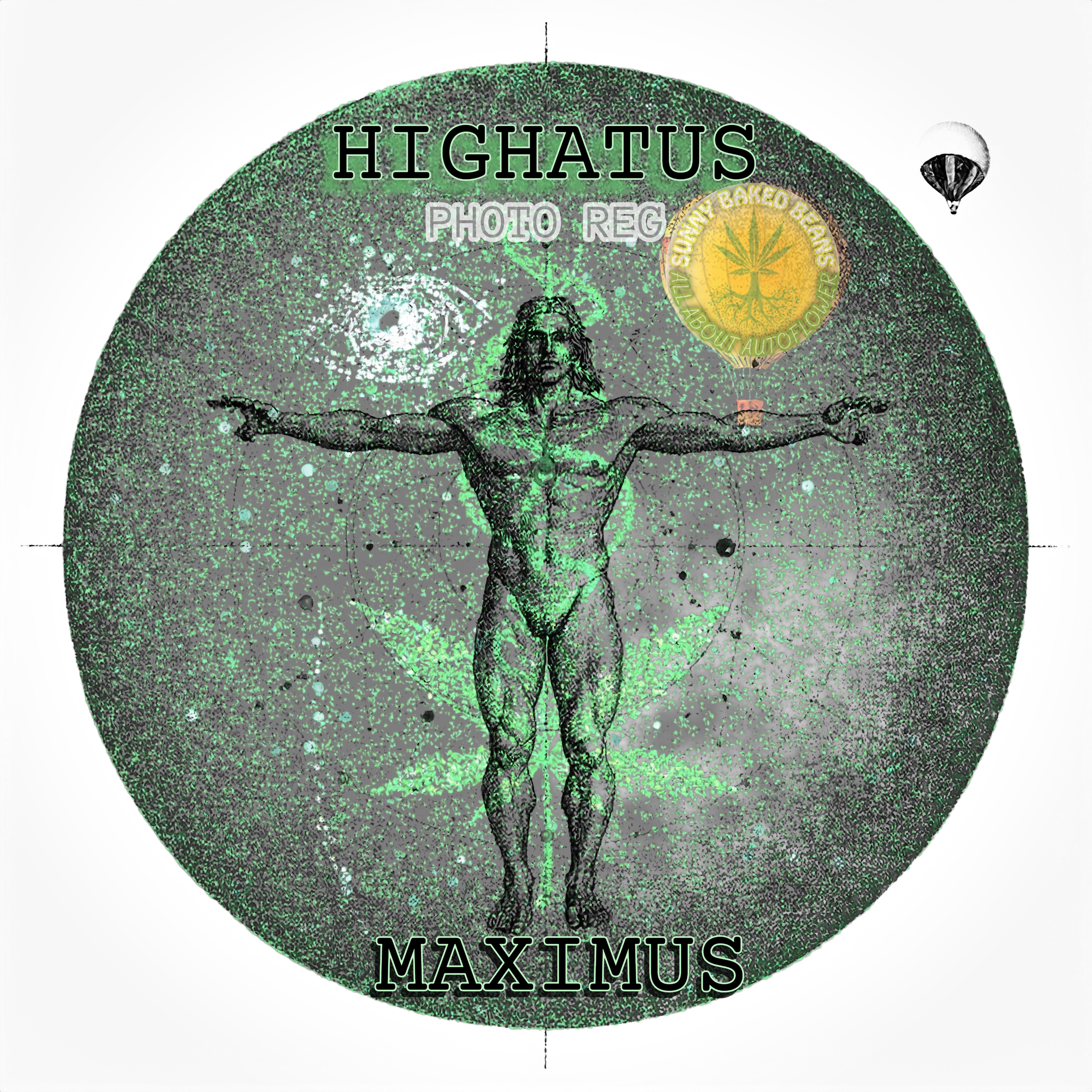 HIGHATUS MAXIMUS