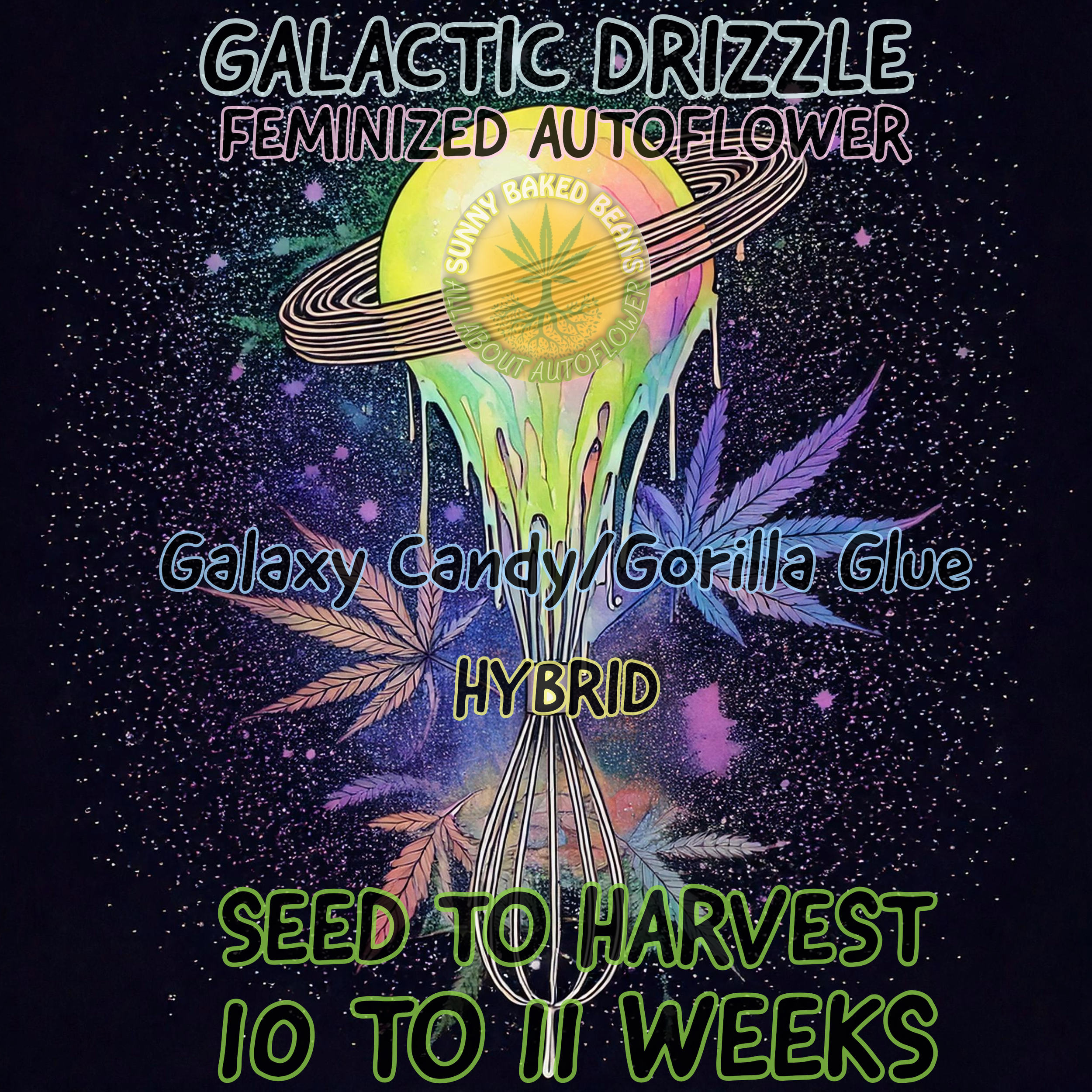 Topicals, Bath Fizzies, Hemp infused Edibles-23 (2).png