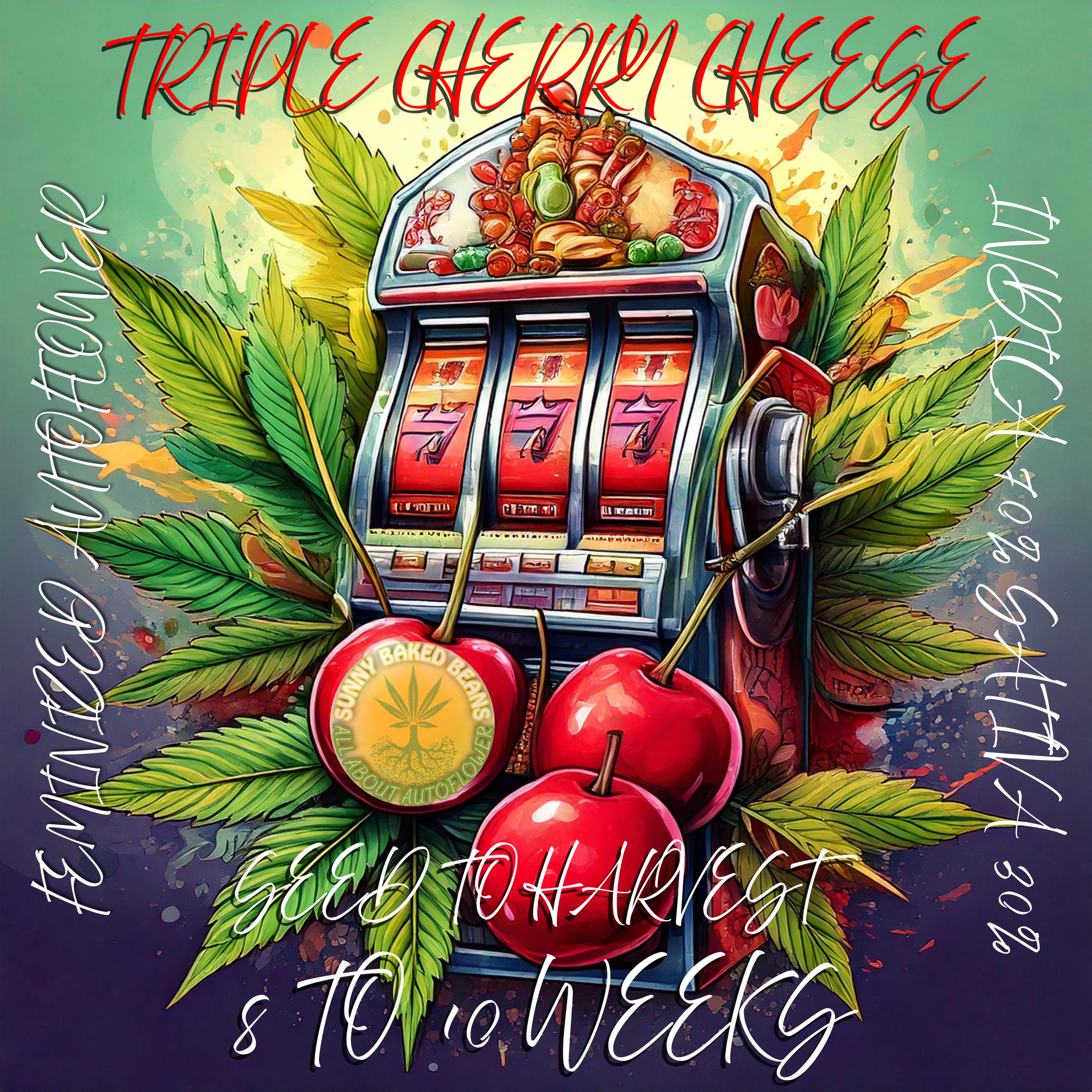 Triple Cherry Cheese