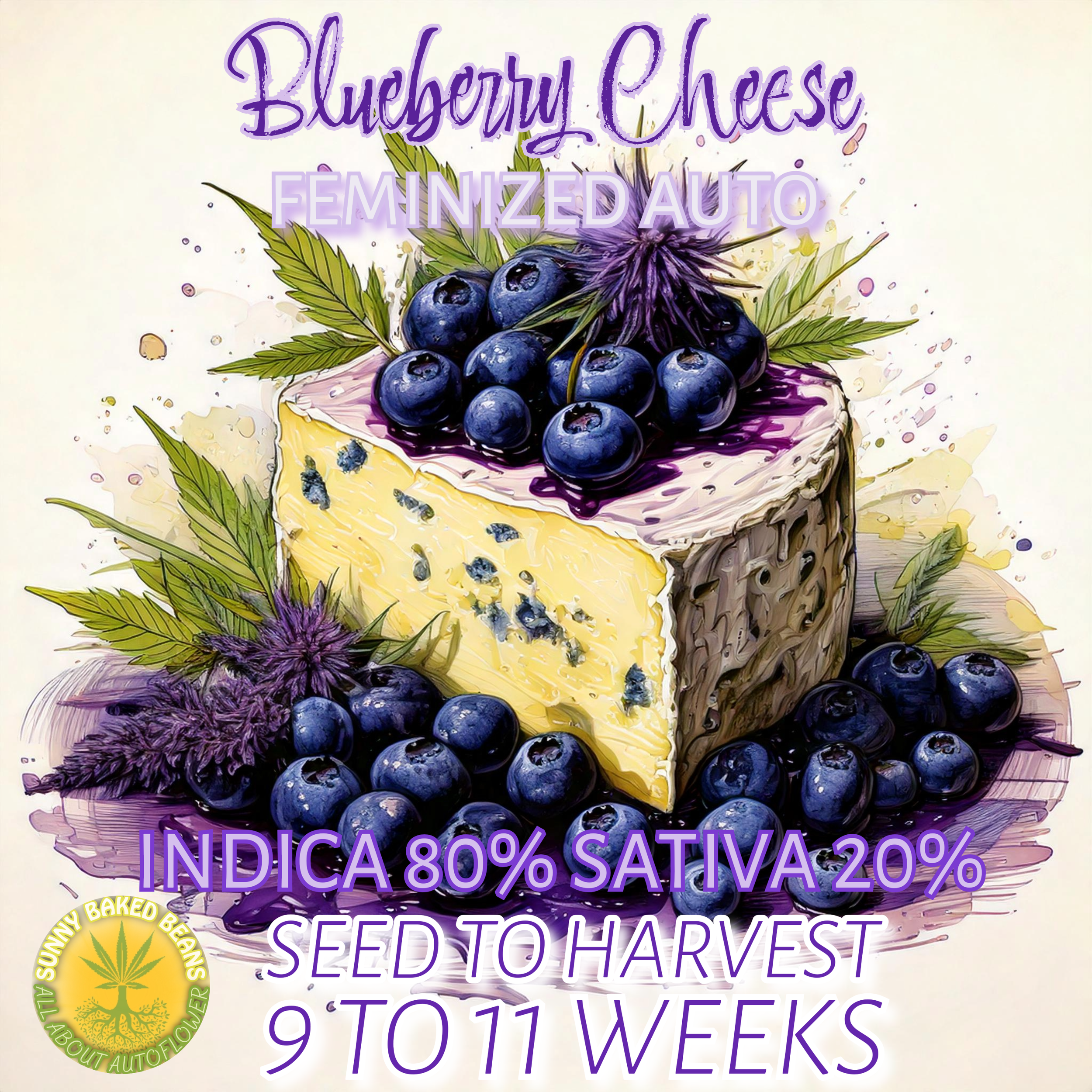 Blueberry Cheese