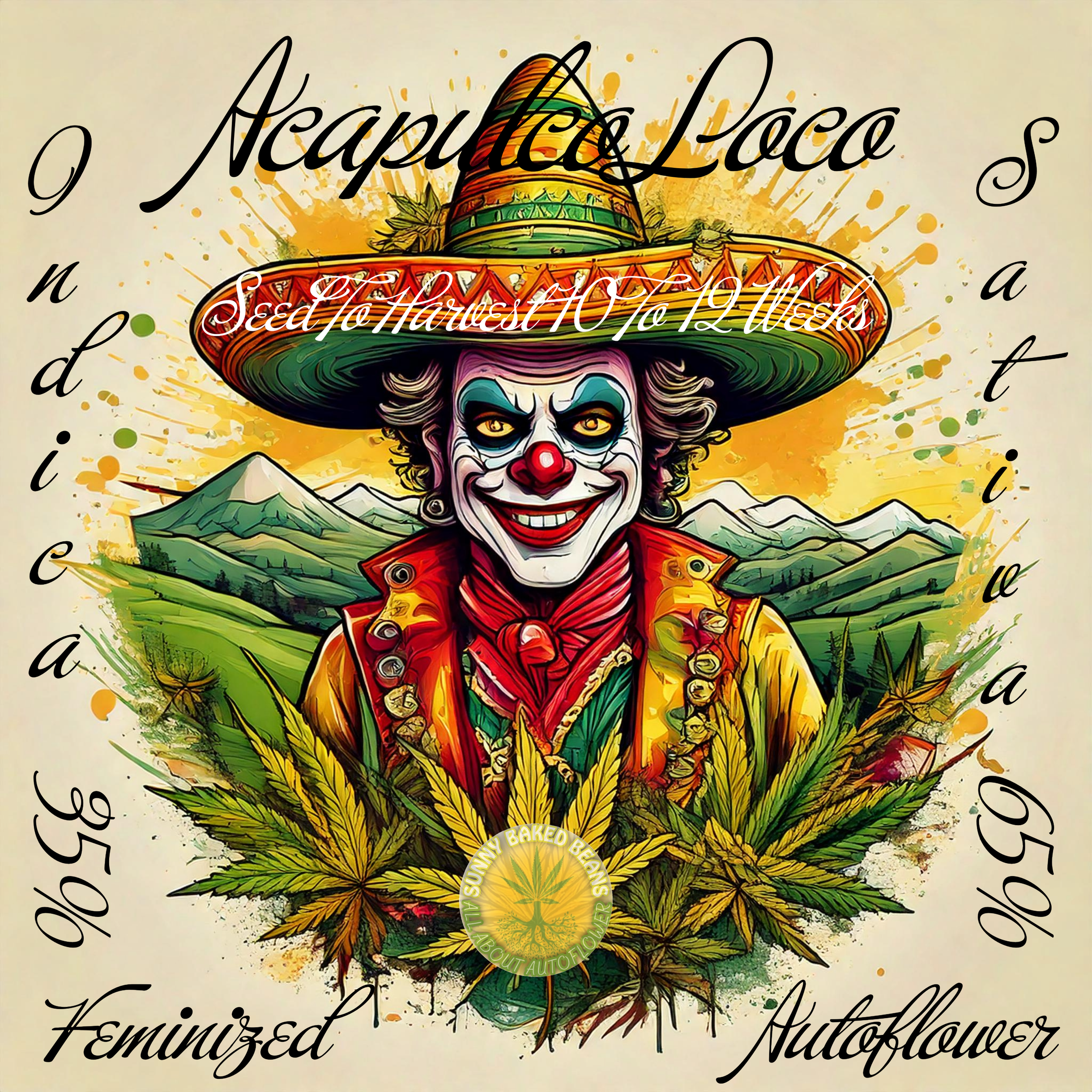 Acapulco Loco