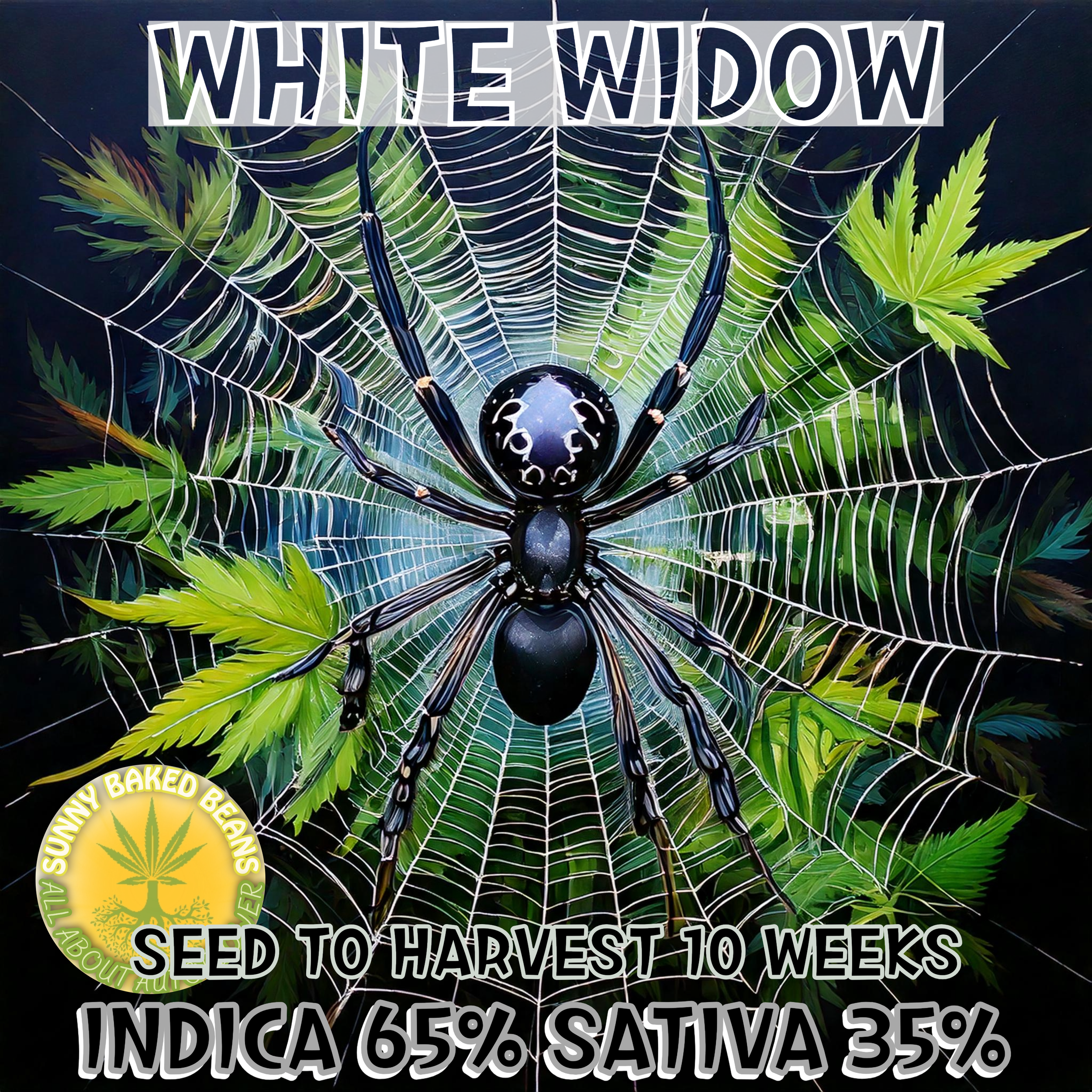 White Widow