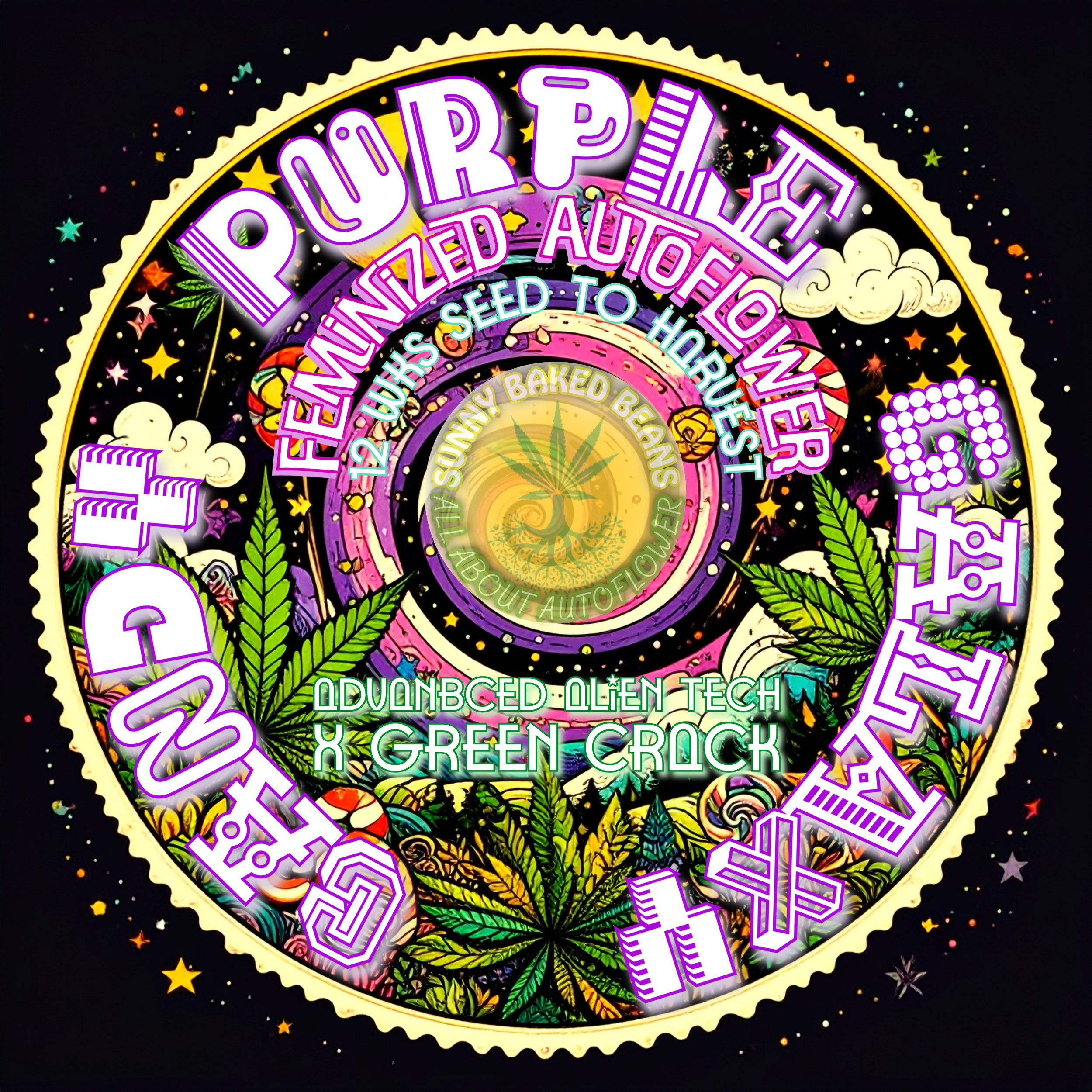 Purple Galaxy Candy