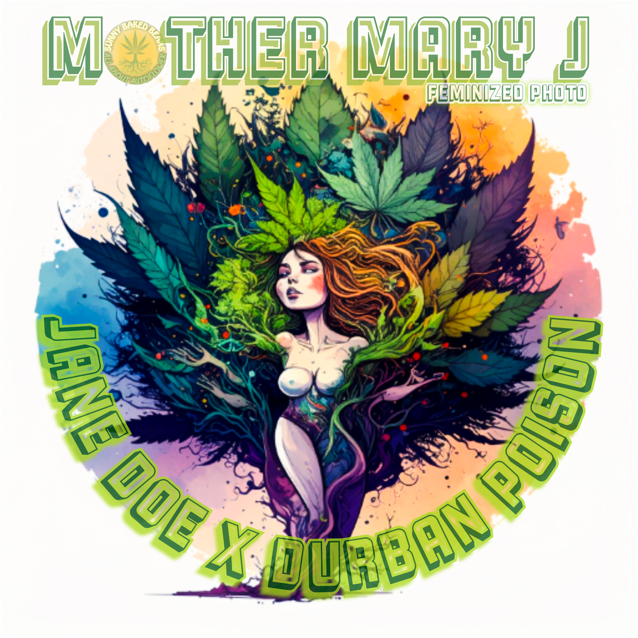 MOTHER MARY J