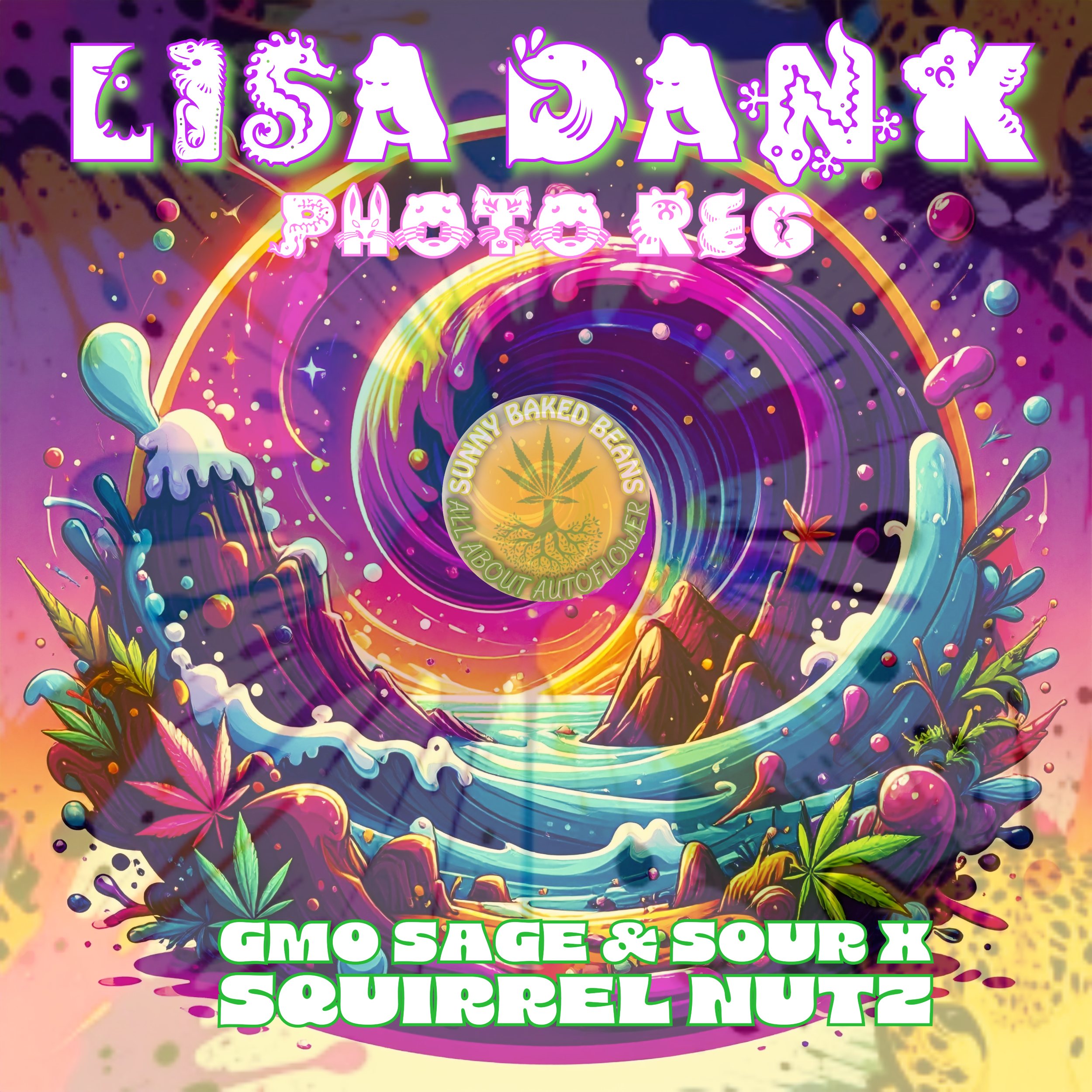 Lisa Dank