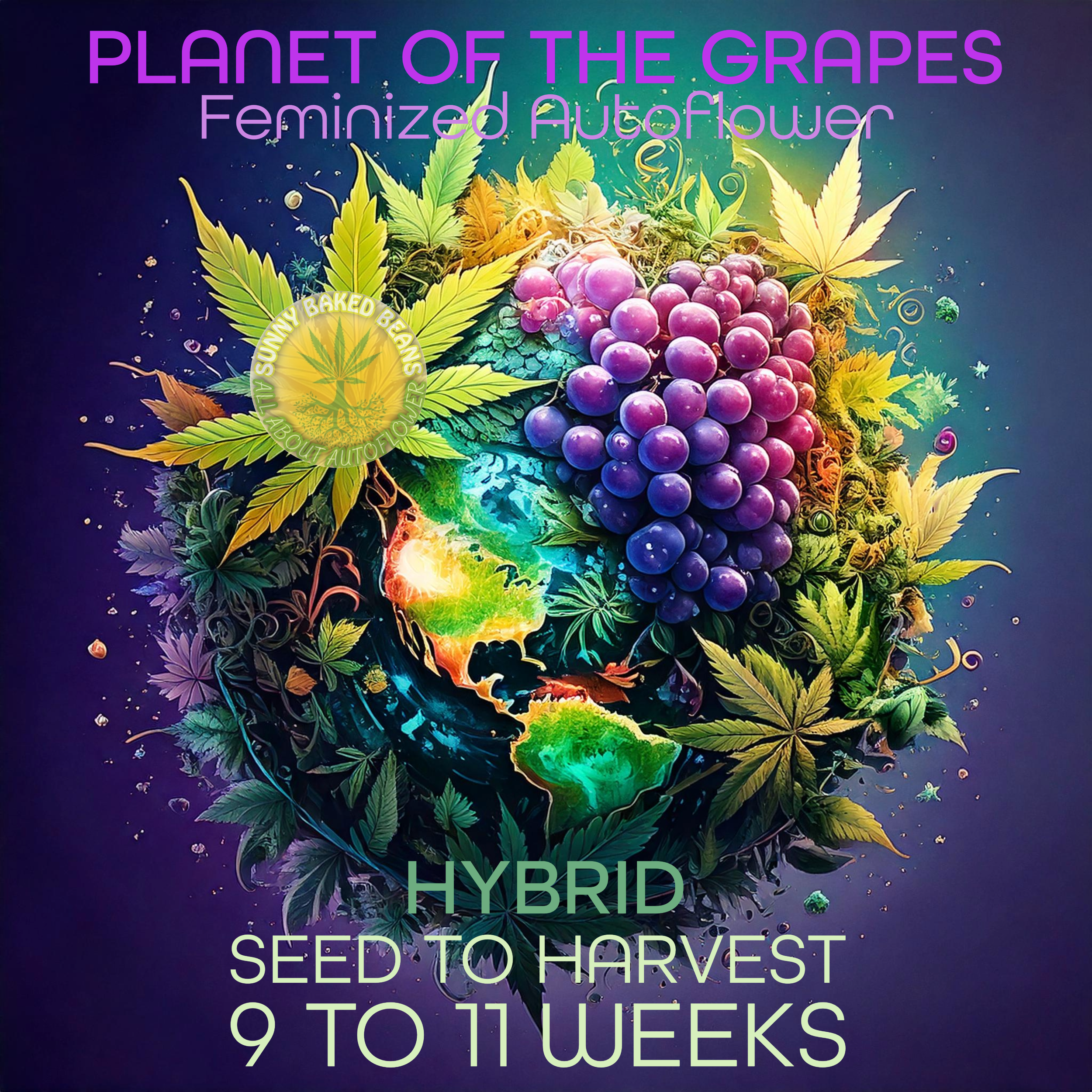 Planet of the Grapes