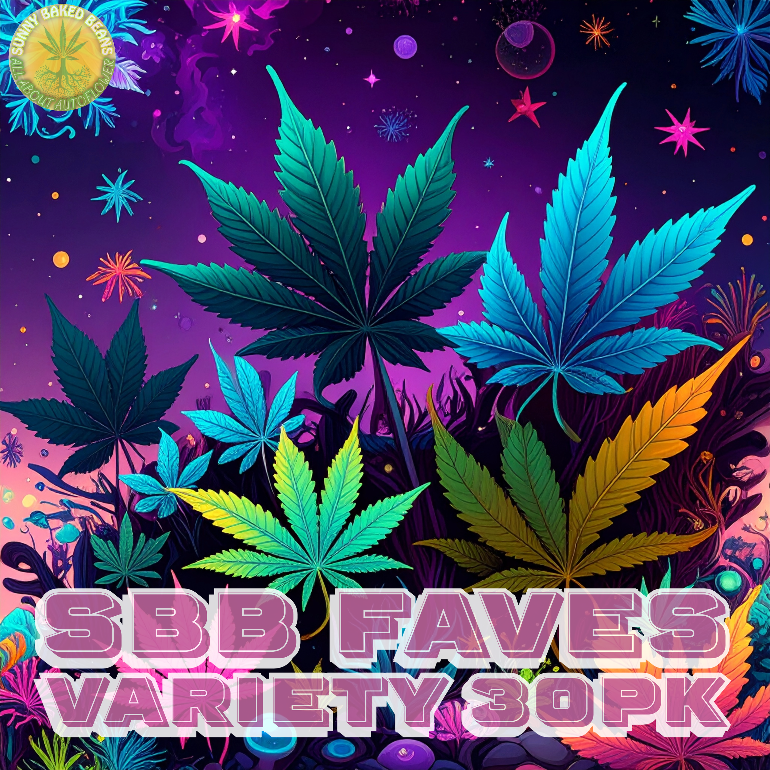 SBB VARIETY FAVES 30PK